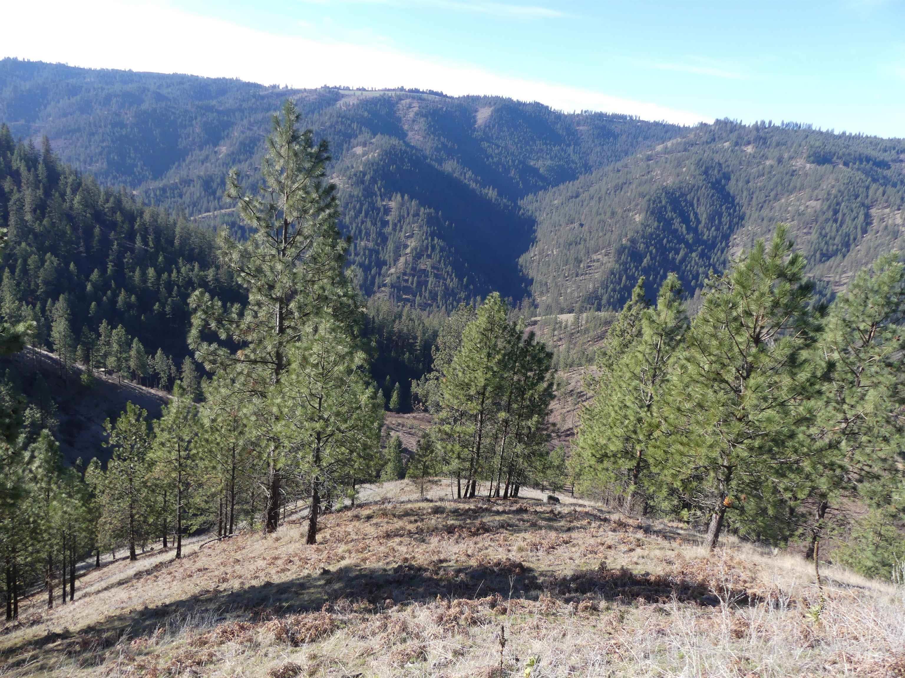 1408 Carrot Ridge Road Property Photo 38