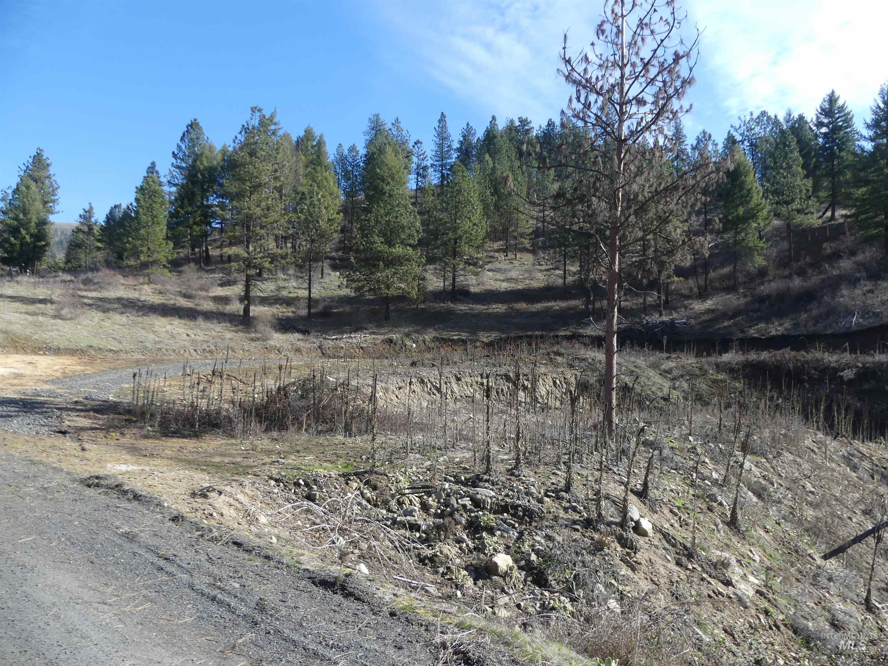 1408 Carrot Ridge Road Property Photo 46