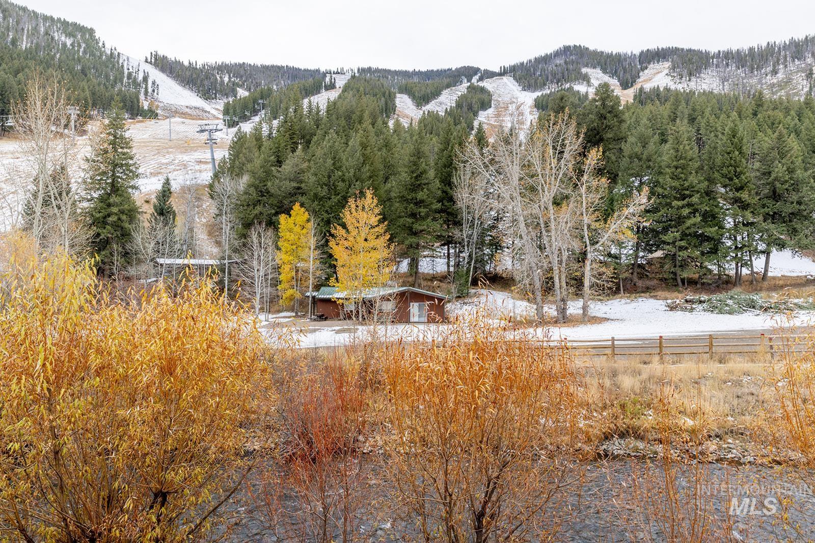 221 Picabo Street Property Photo 32