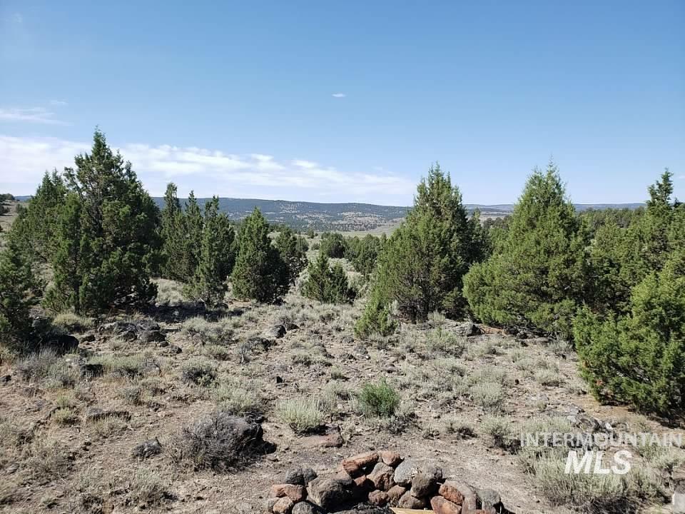 Tract 44 Triangle Ranch Property Photo 1