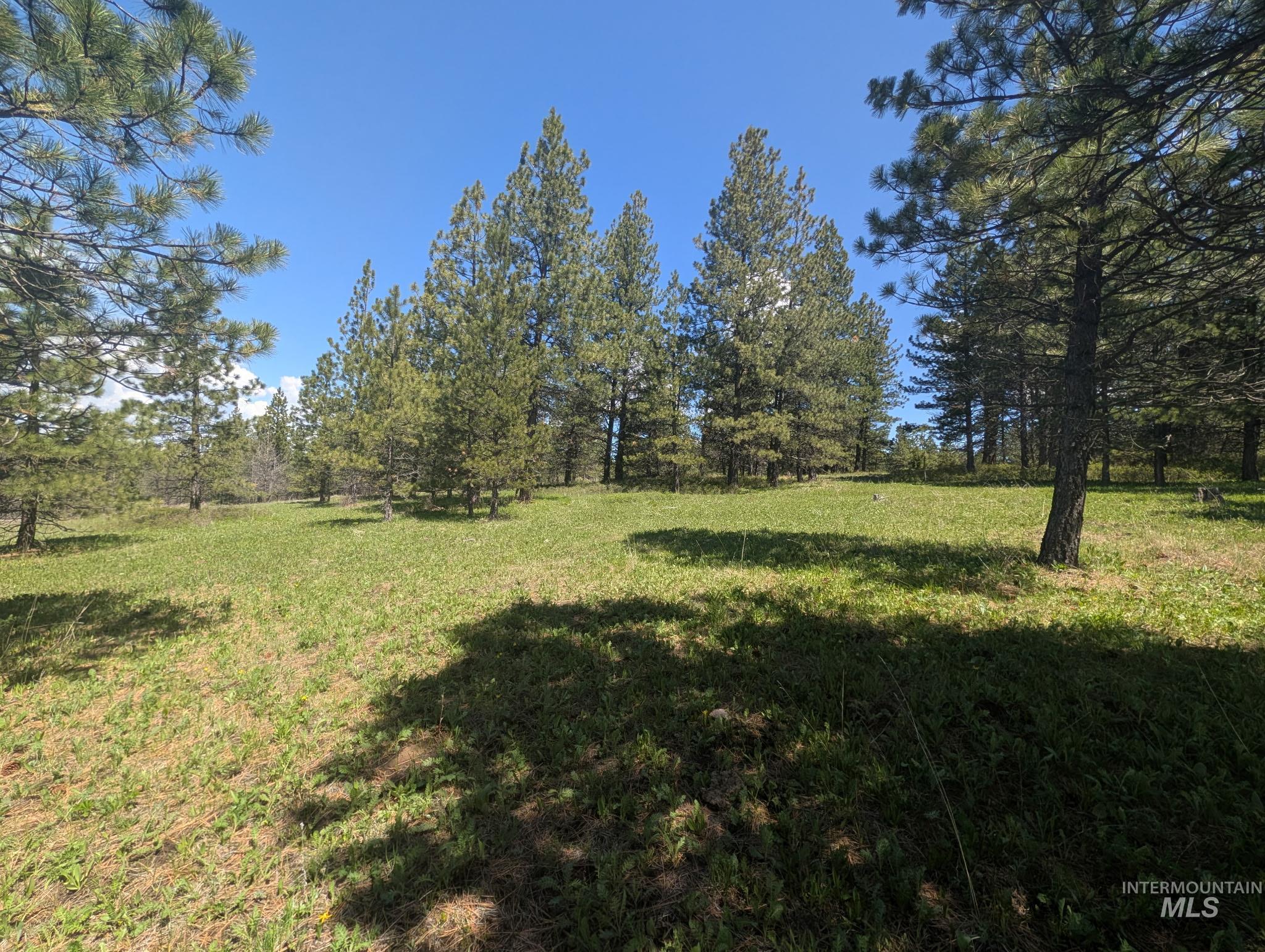 Tbd Jackpine Rd Property Photo 1