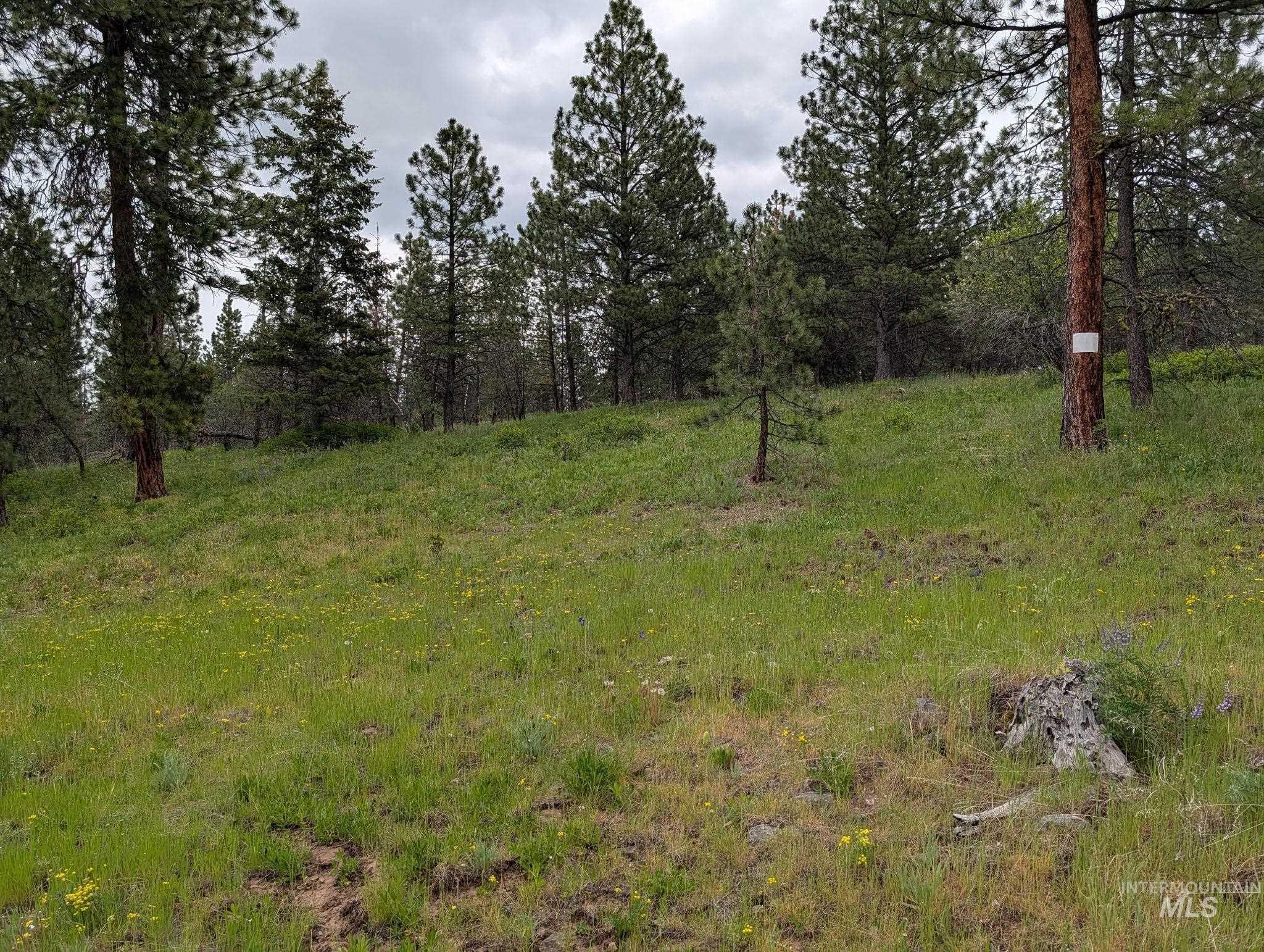 Tbd Jackpine Rd Property Photo 2