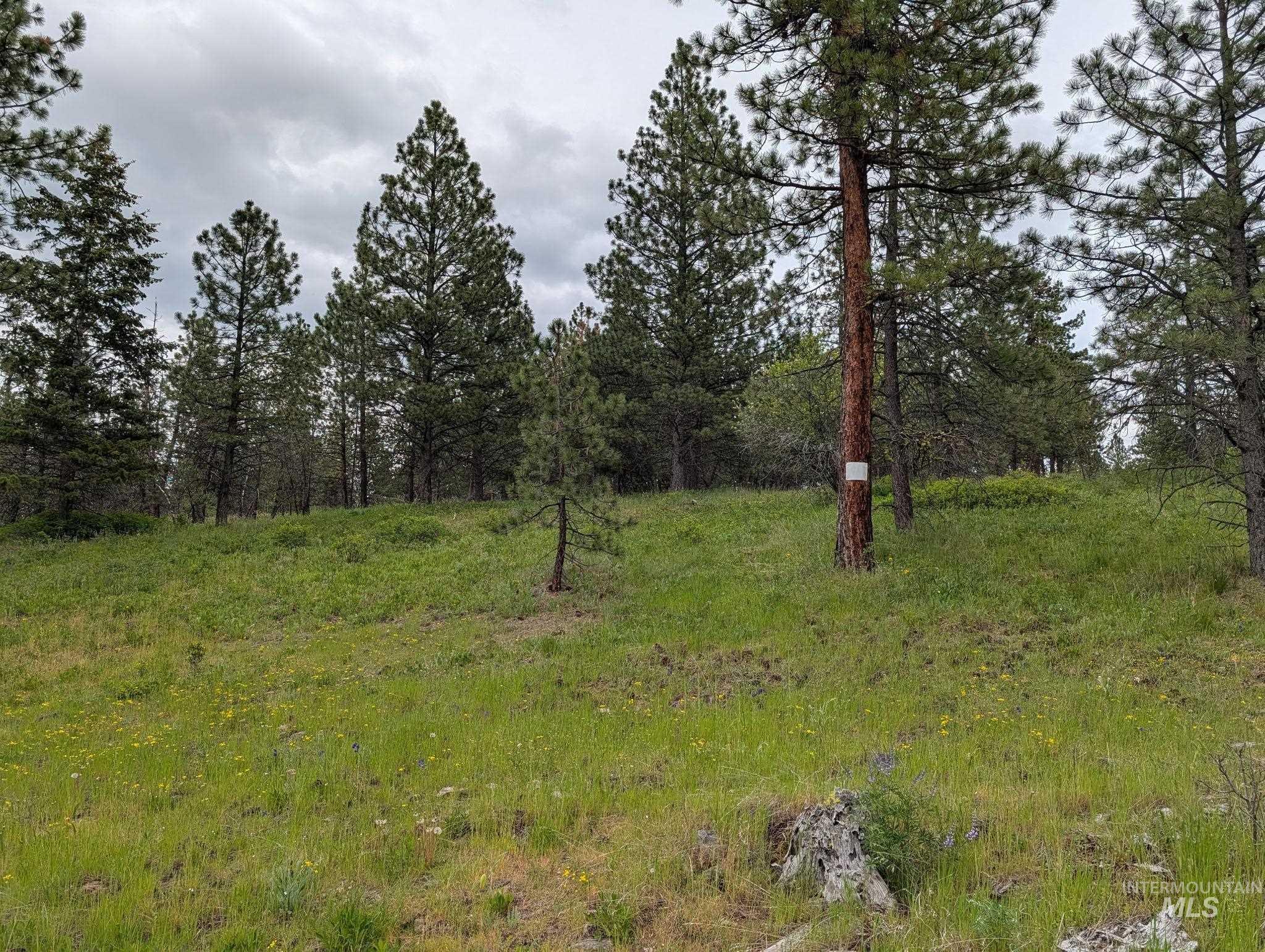 Tbd Jackpine Rd Property Photo 3