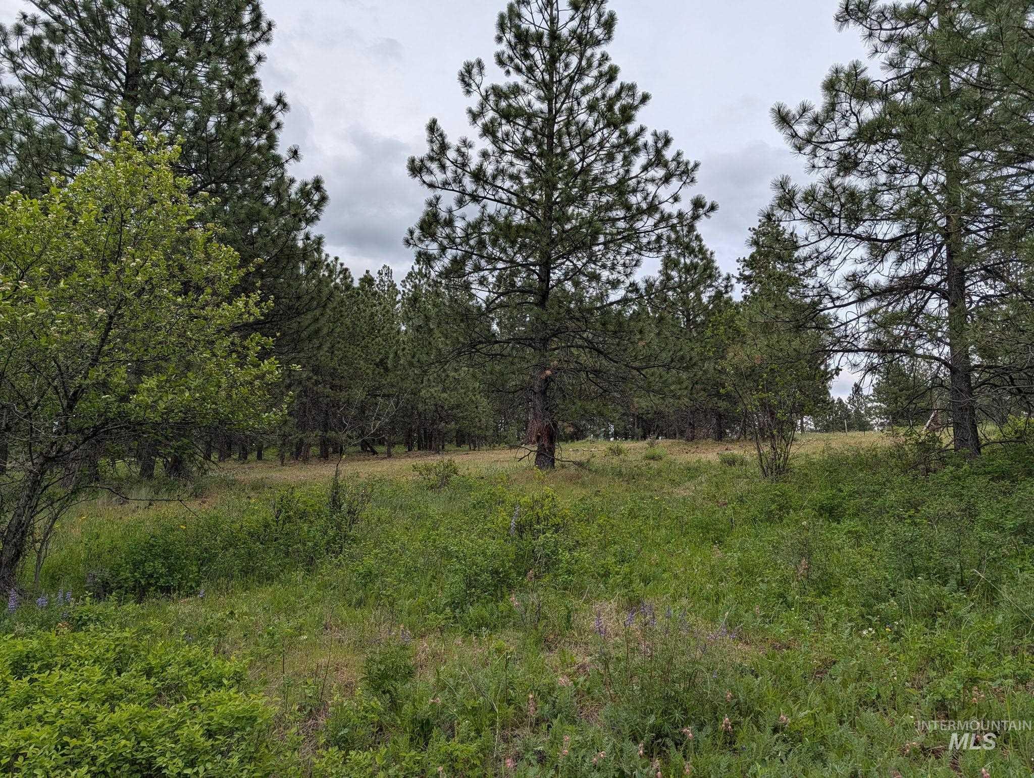 Tbd Jackpine Rd Property Photo 4