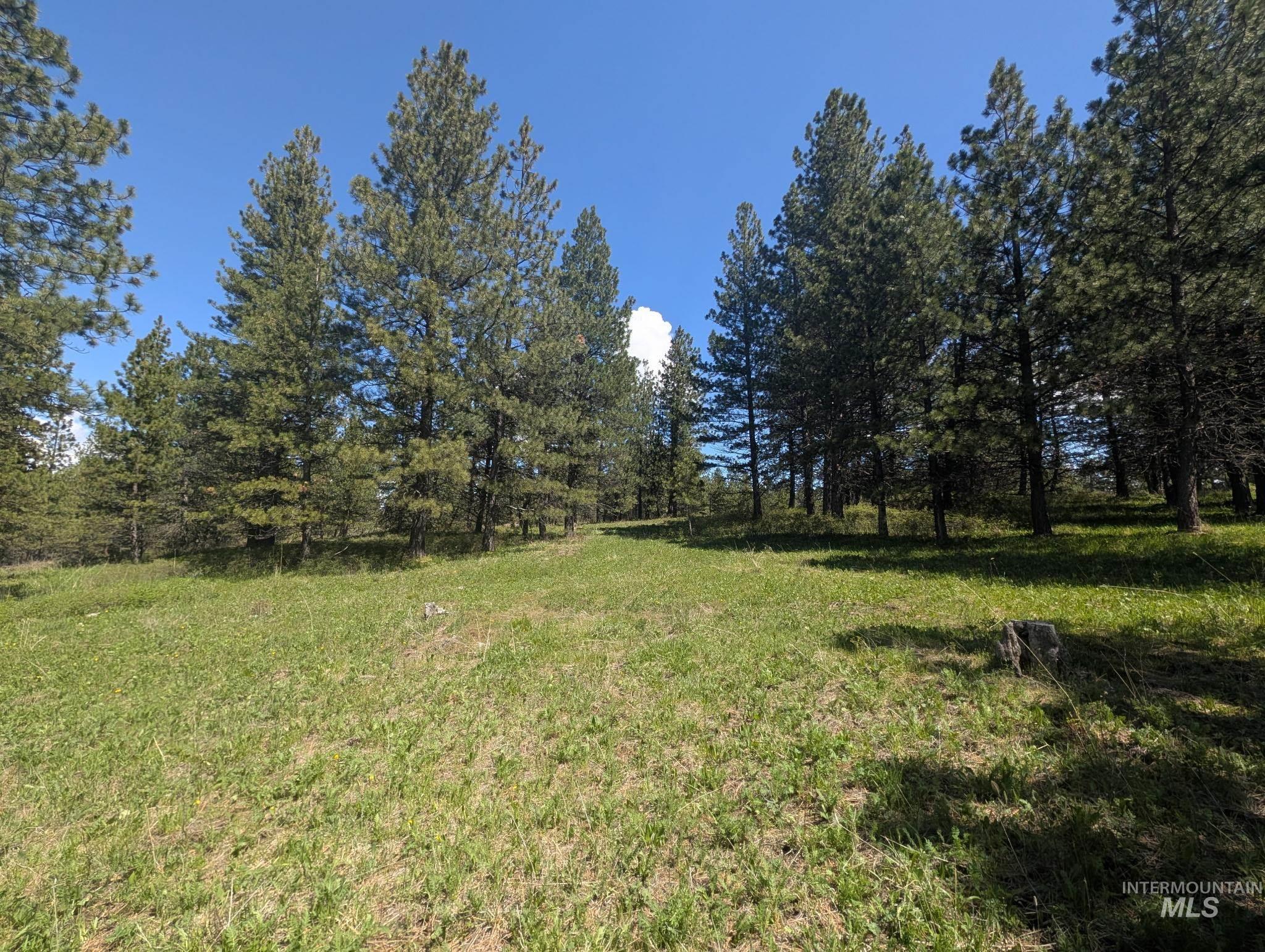 Tbd Jackpine Rd Property Photo 5