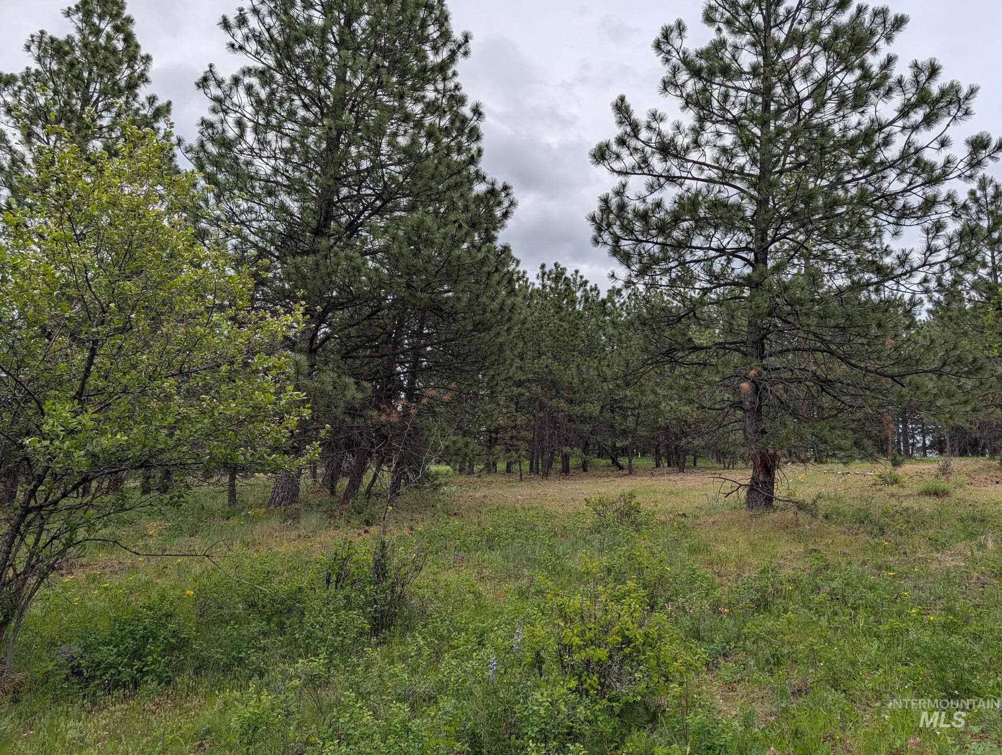 Tbd Jackpine Rd Property Photo 6