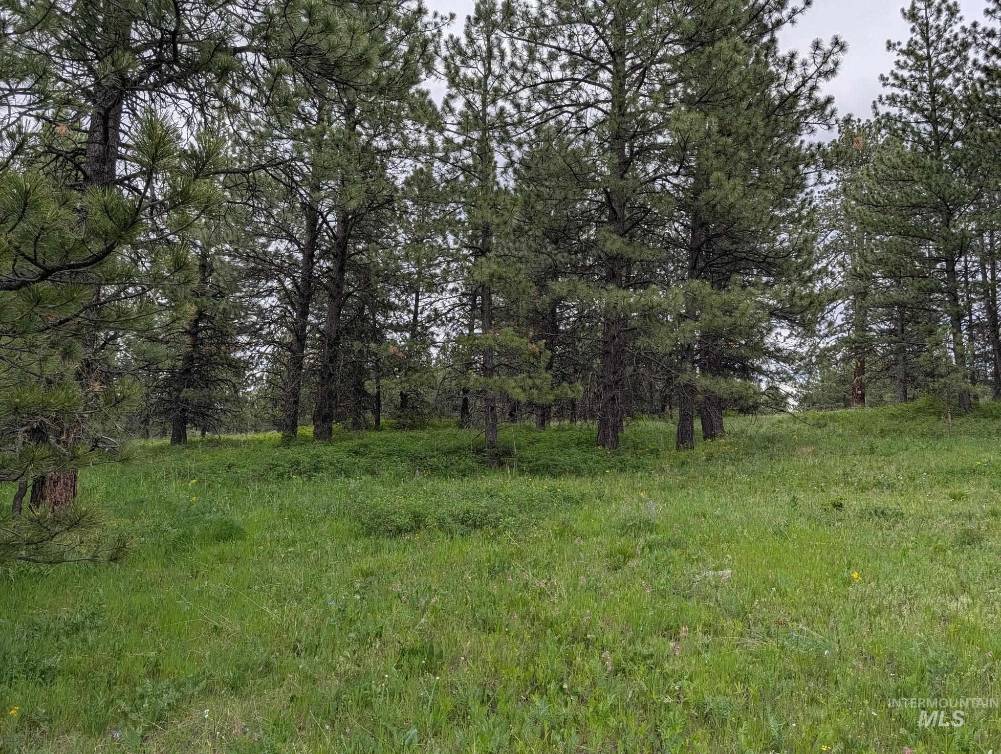 Tbd Jackpine Rd Property Photo 9