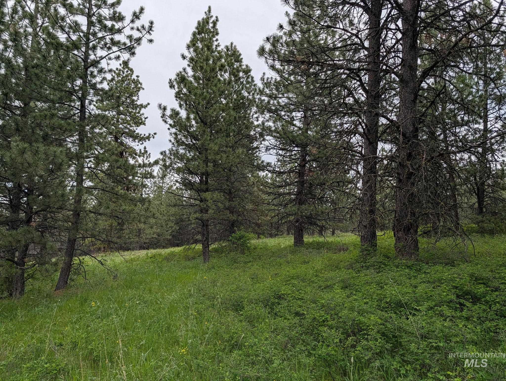 Tbd Jackpine Rd Property Photo 10