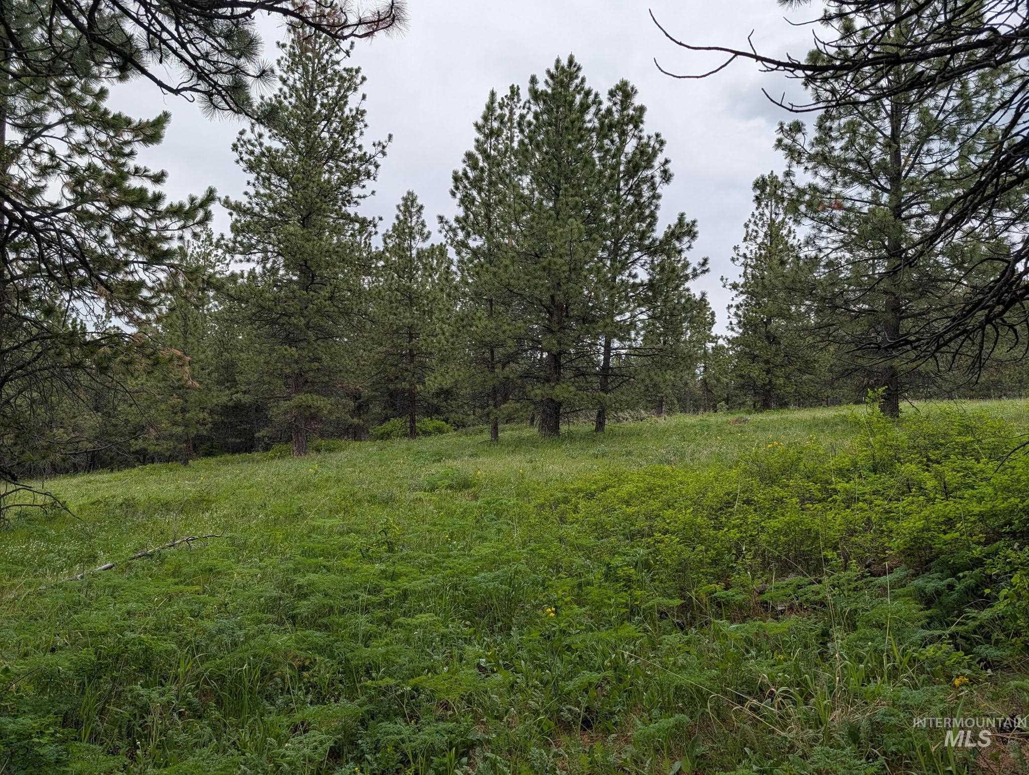Tbd Jackpine Rd Property Photo 12