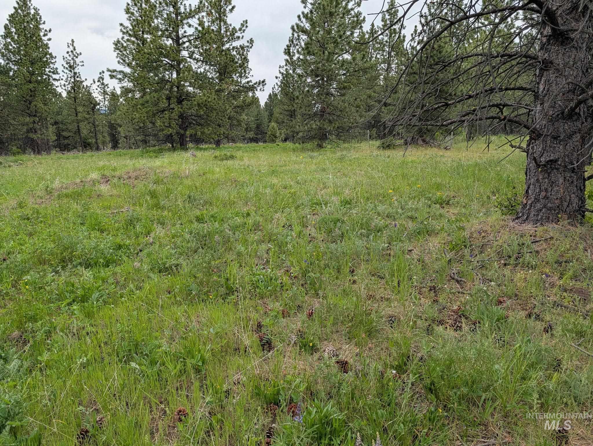 Tbd Jackpine Rd Property Photo 13
