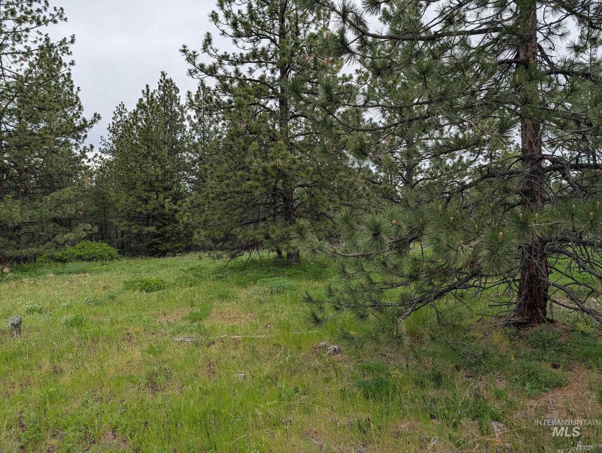 Tbd Jackpine Rd Property Photo 14