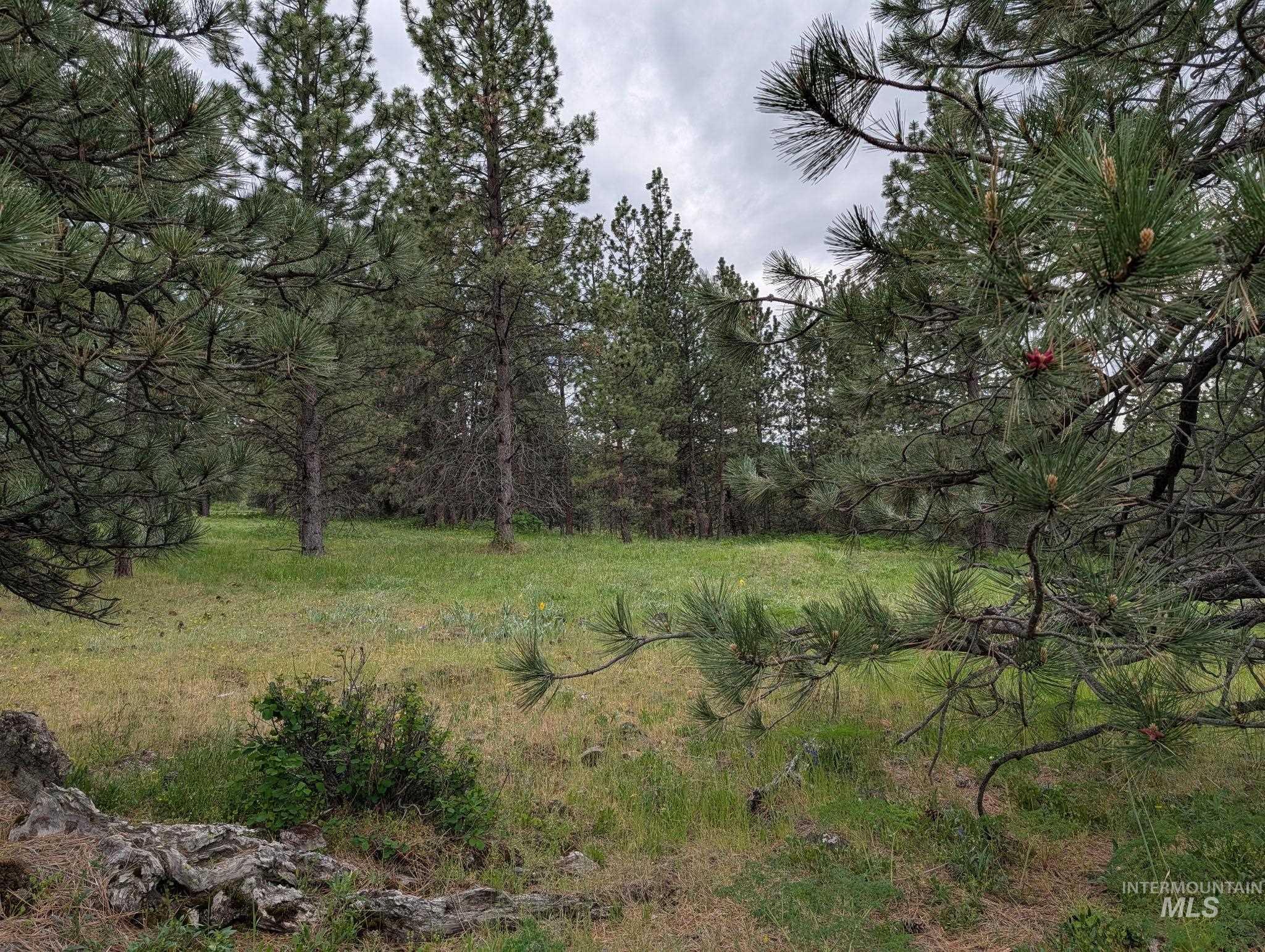 Tbd Jackpine Rd Property Photo 15