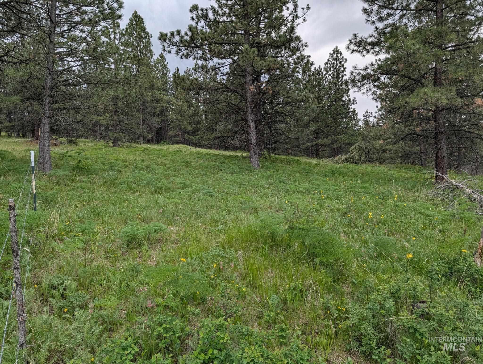 Tbd Jackpine Rd Property Photo 16