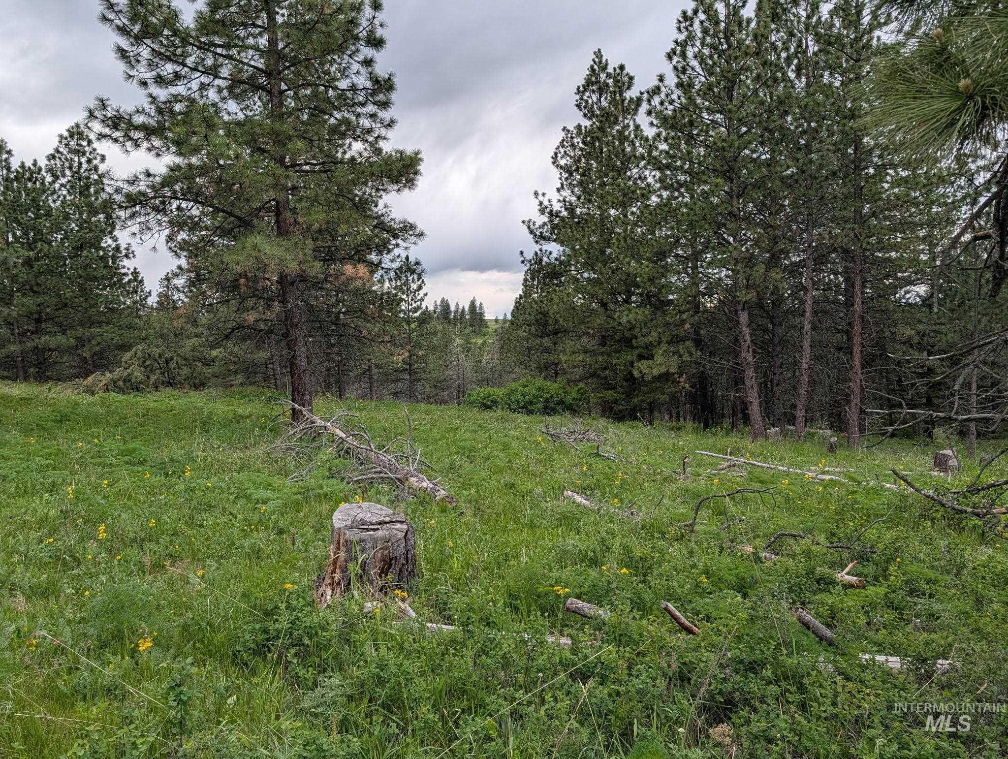 Tbd Jackpine Rd Property Photo 17