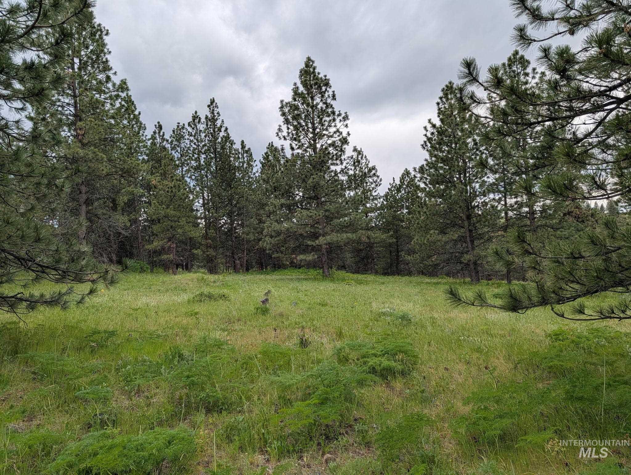 Tbd Jackpine Rd Property Photo 18