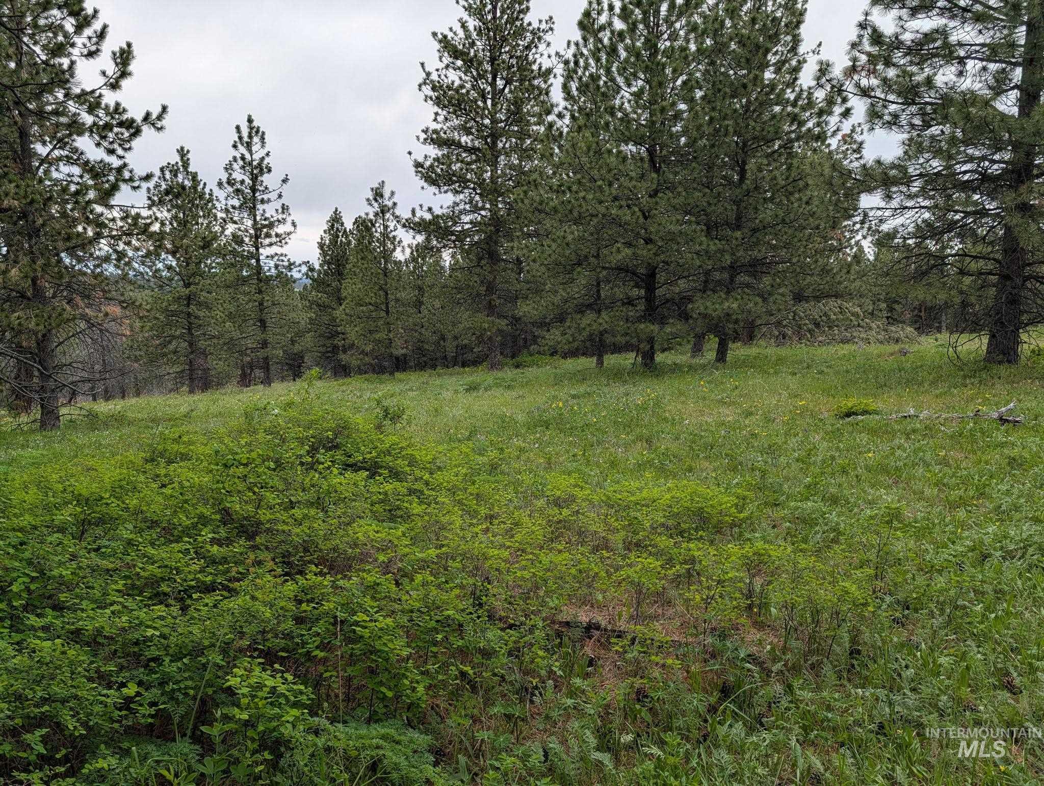 Tbd Jackpine Rd Property Photo 19