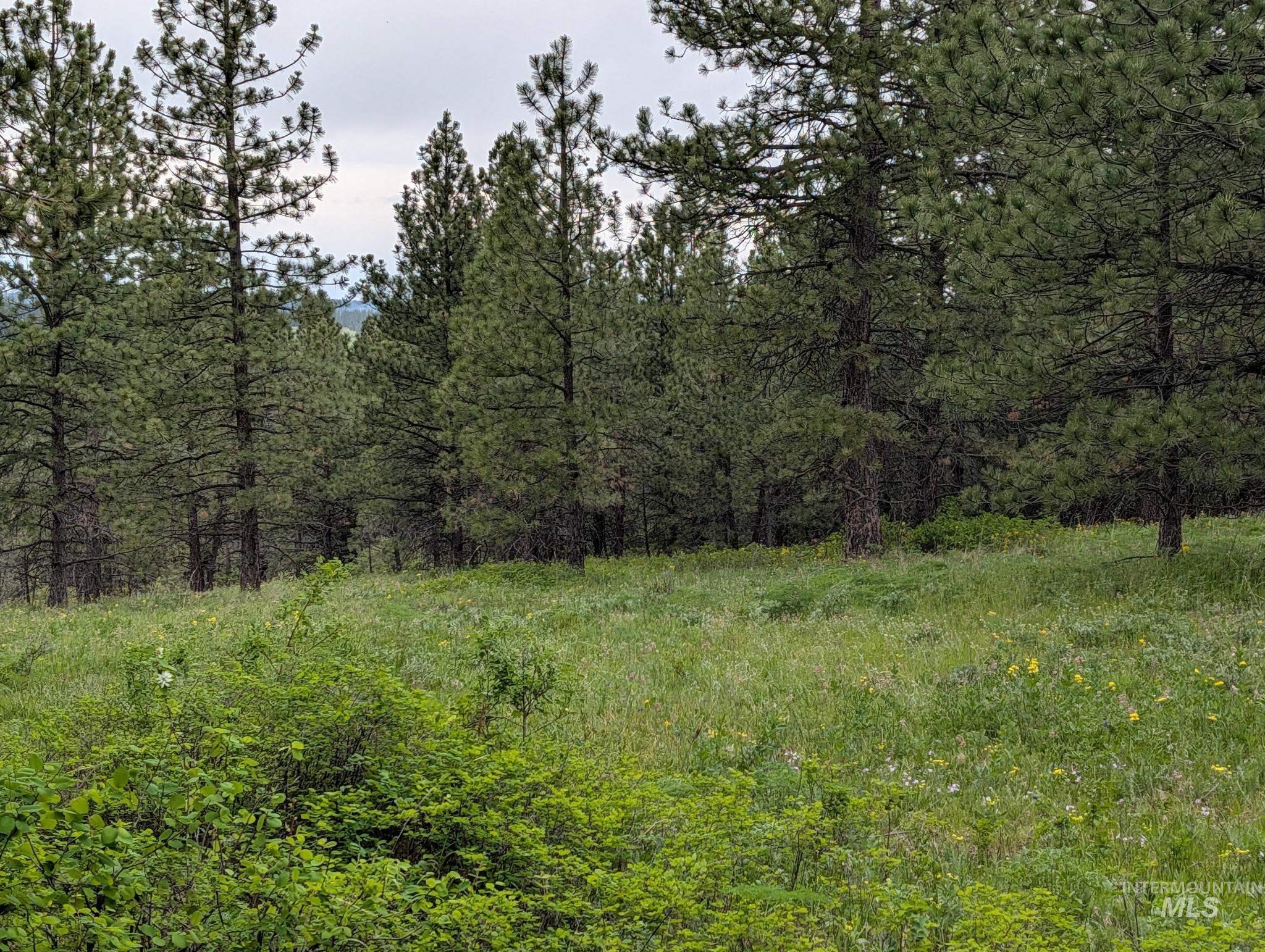Tbd Jackpine Rd Property Photo 20