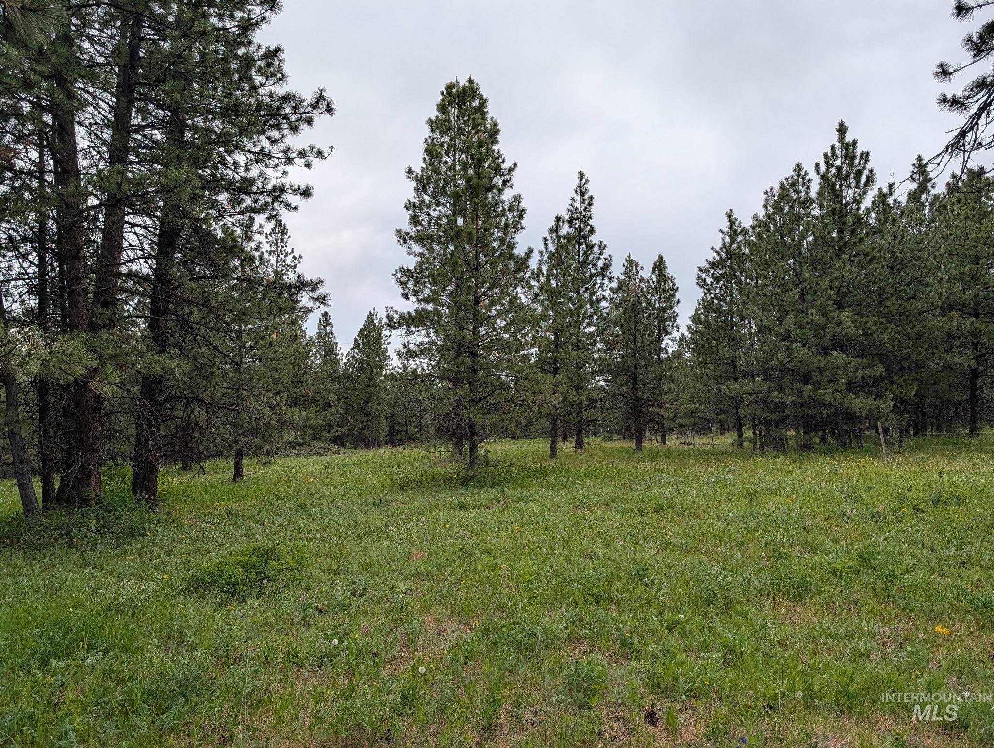 Tbd Jackpine Rd Property Photo 21