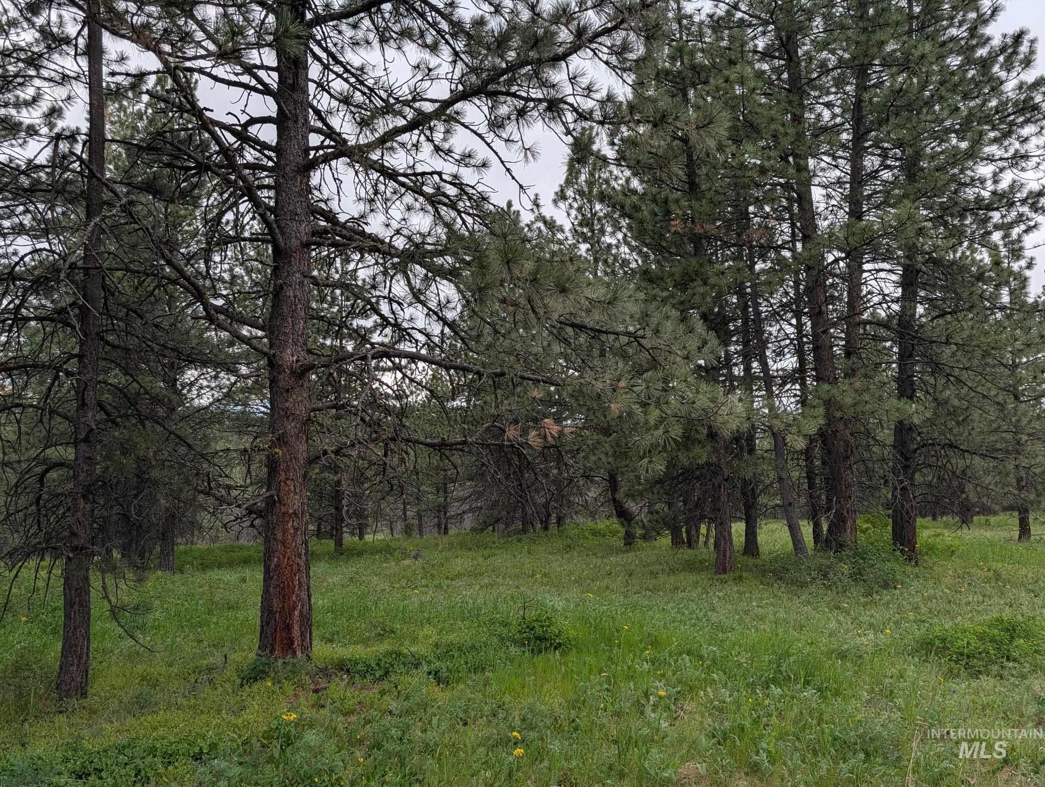 Tbd Jackpine Rd Property Photo 22