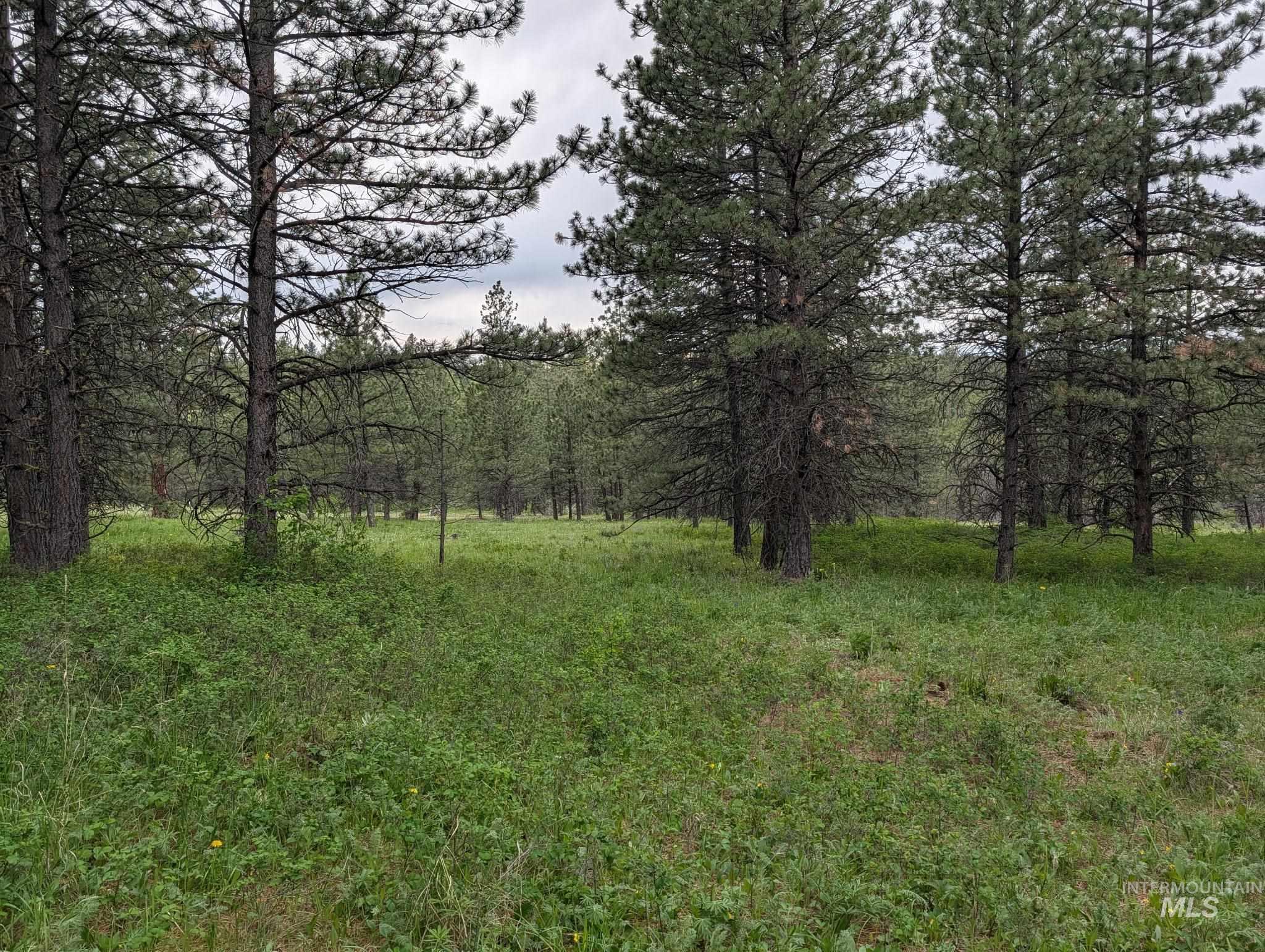 Tbd Jackpine Rd Property Photo 24