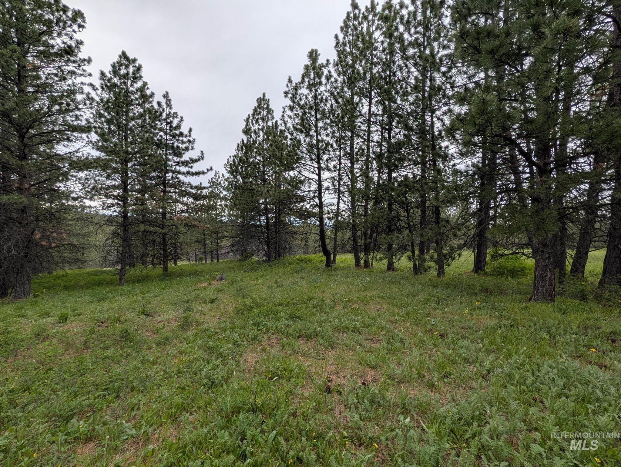 Tbd Jackpine Rd Property Photo 25
