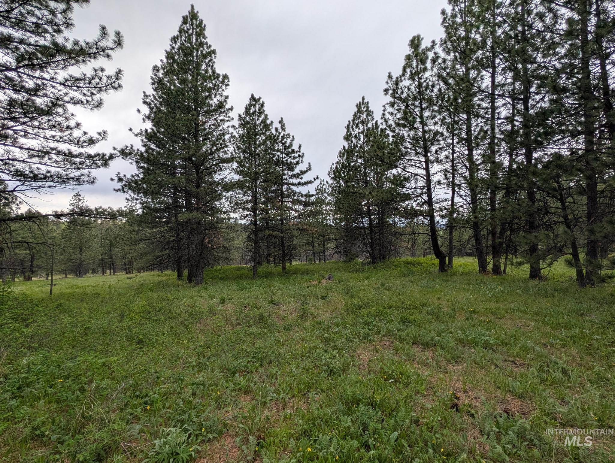 Tbd Jackpine Rd Property Photo 26