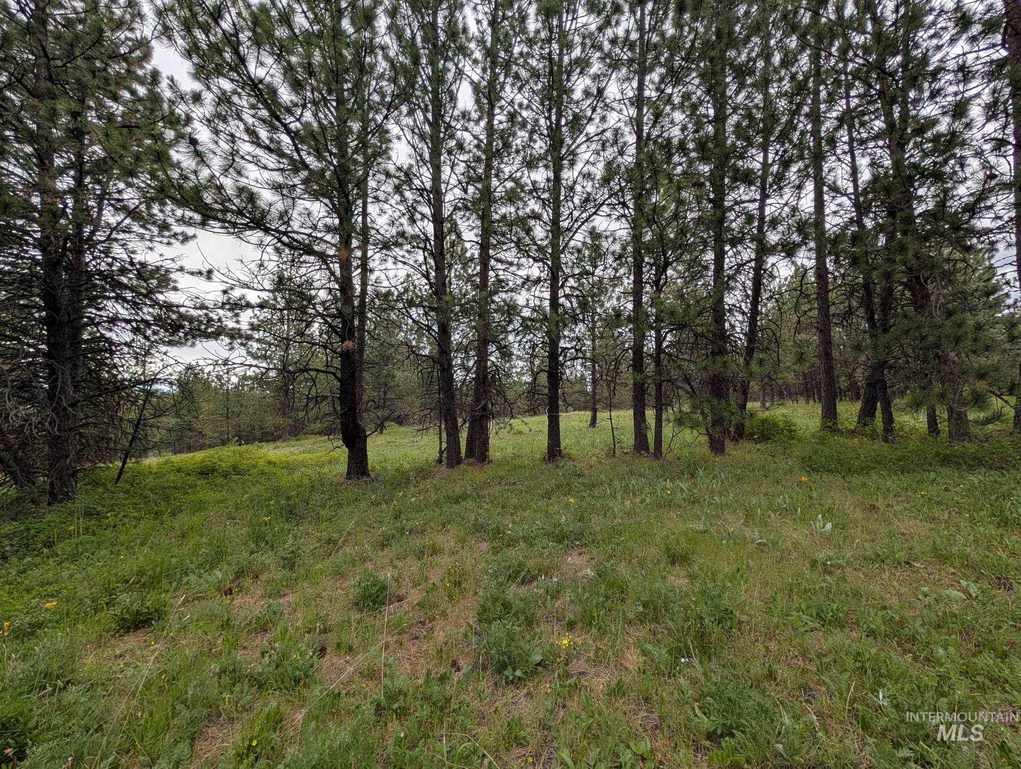 Tbd Jackpine Rd Property Photo 27