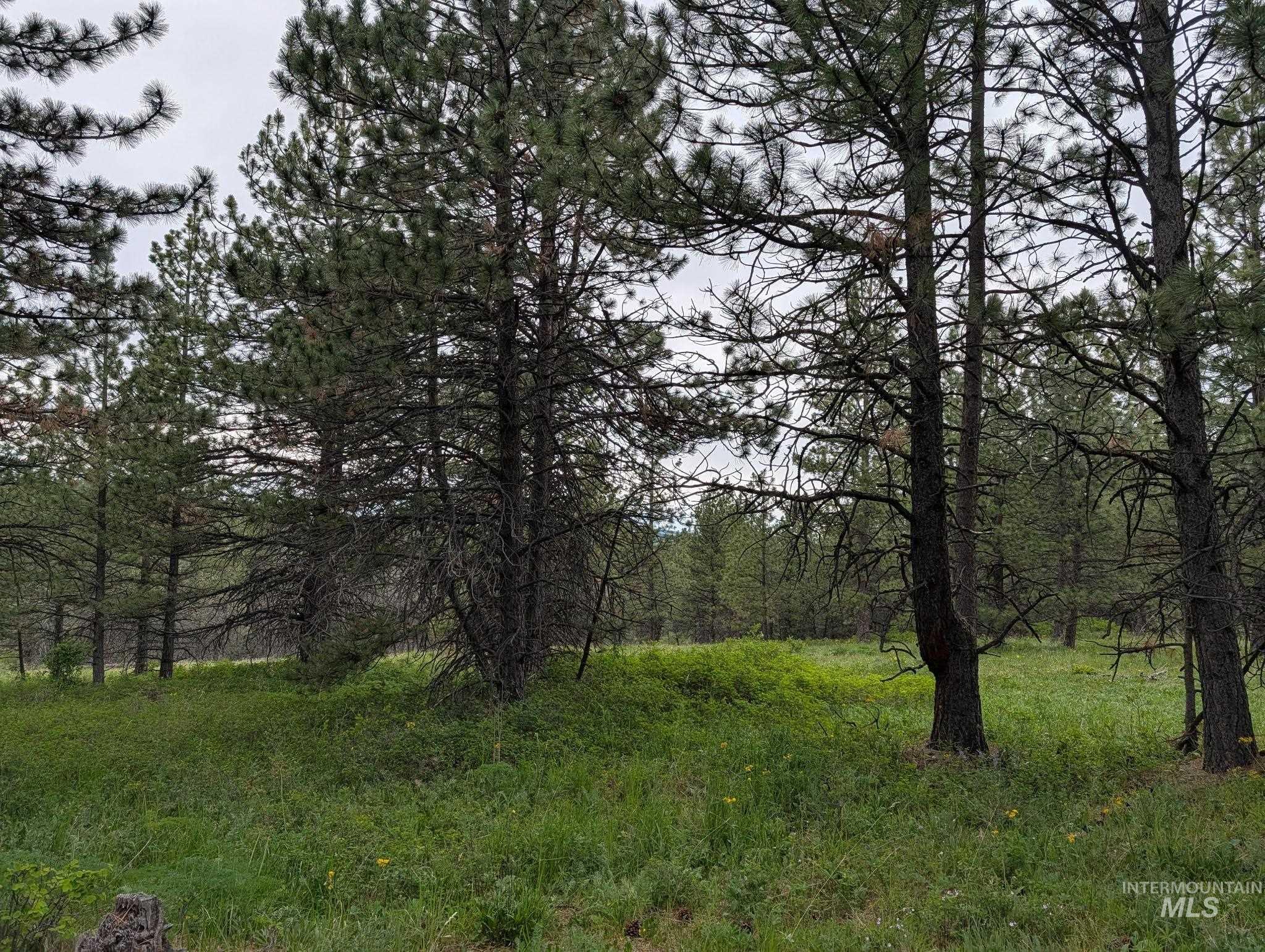 Tbd Jackpine Rd Property Photo 28