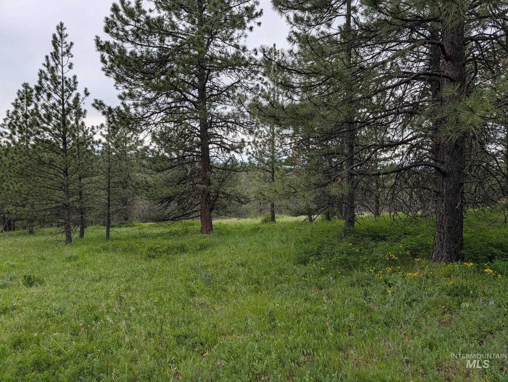 Tbd Jackpine Rd Property Photo 29
