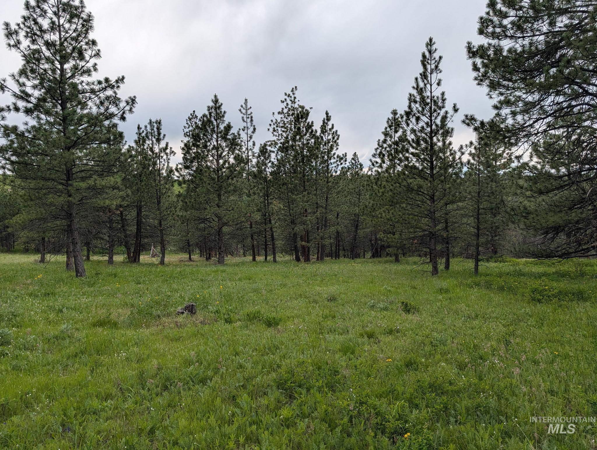 Tbd Jackpine Rd Property Photo 31