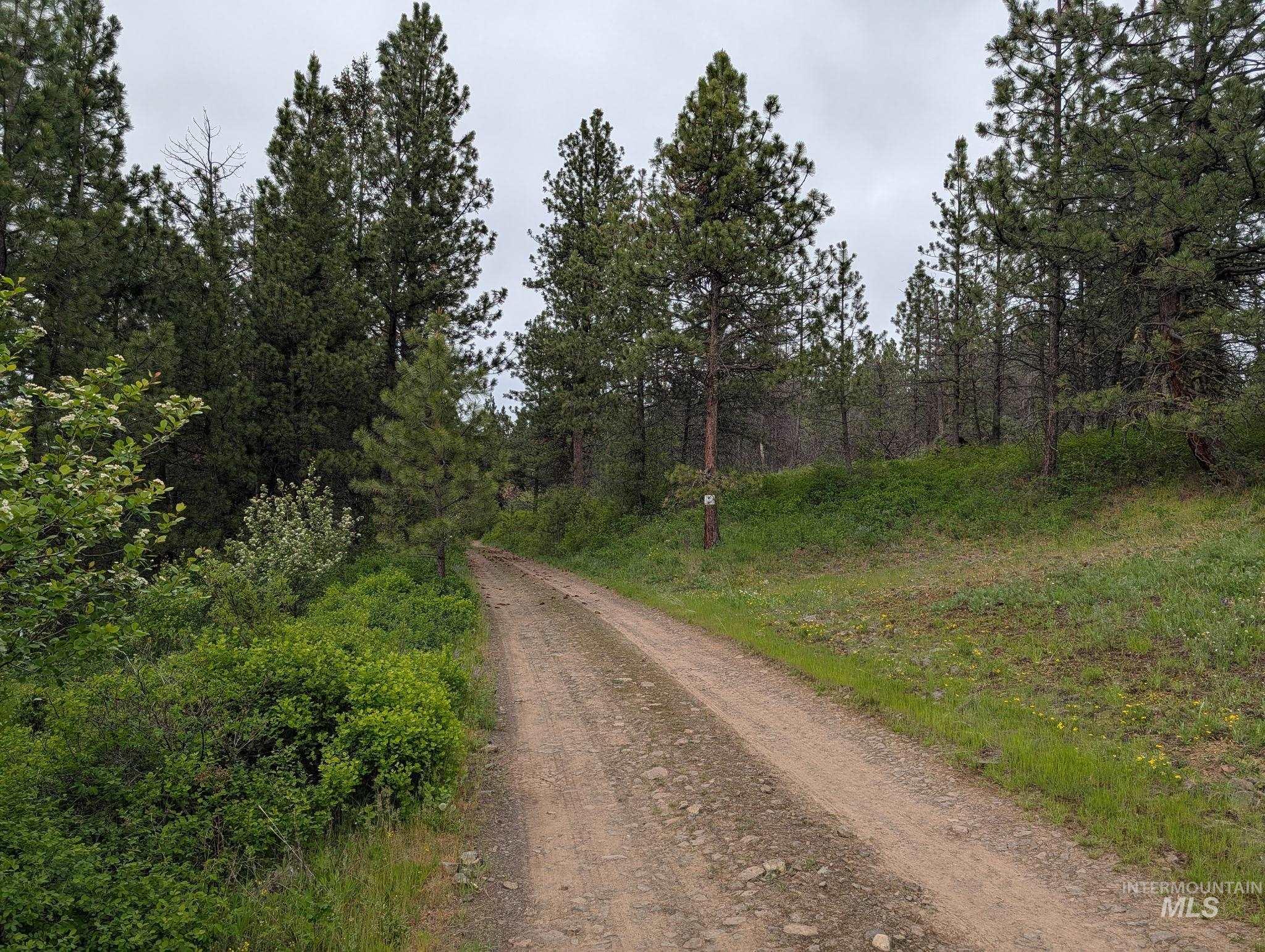 Tbd Jackpine Rd Property Photo 32