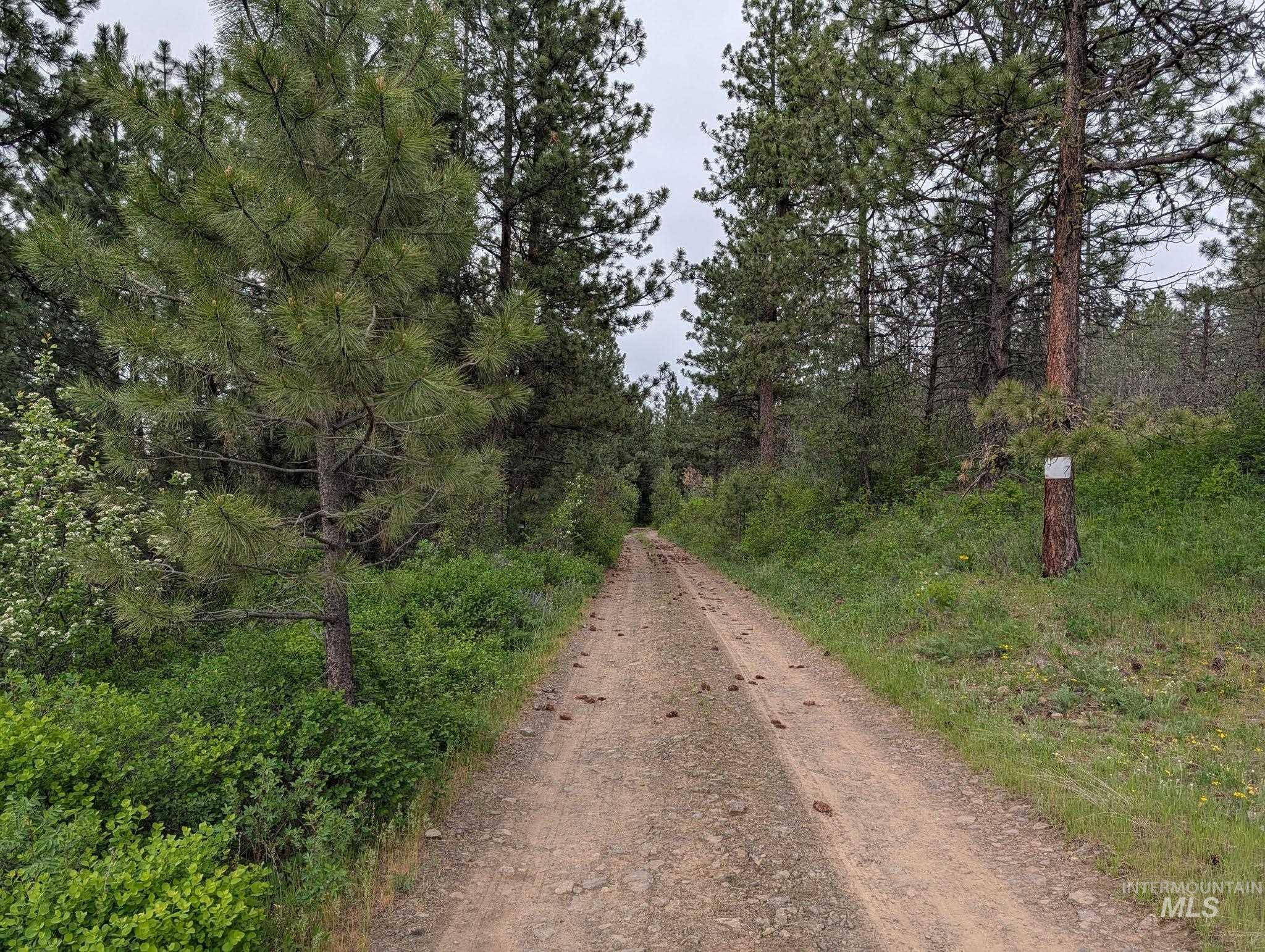 Tbd Jackpine Rd Property Photo 33