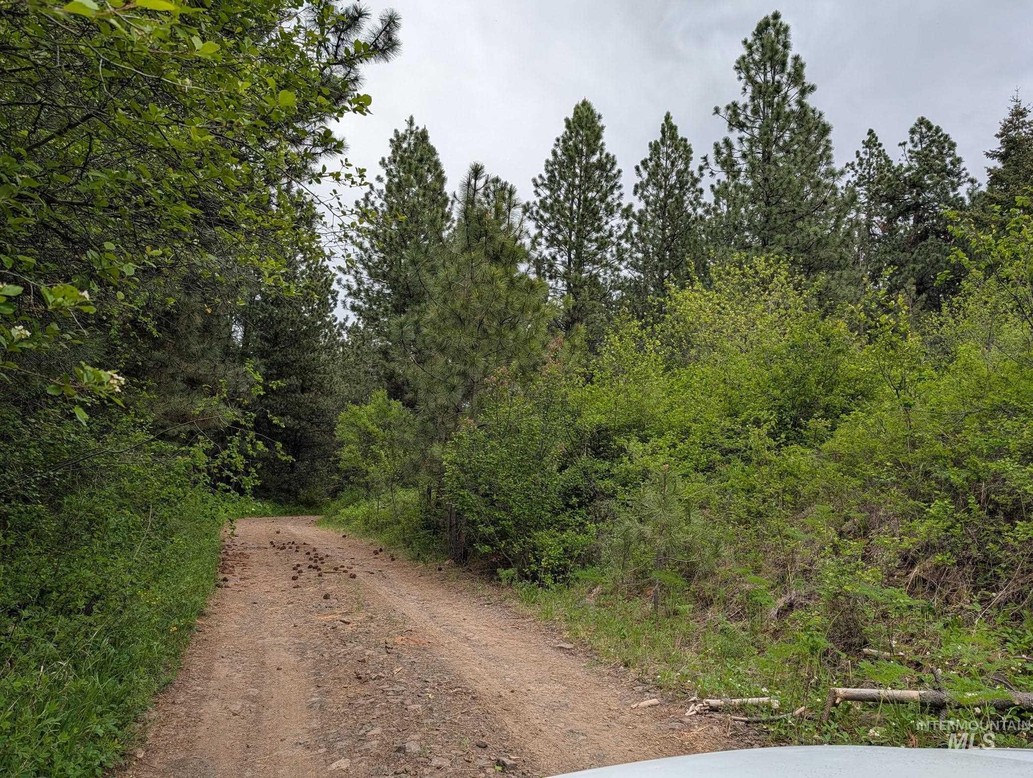 Tbd Jackpine Rd Property Photo 34