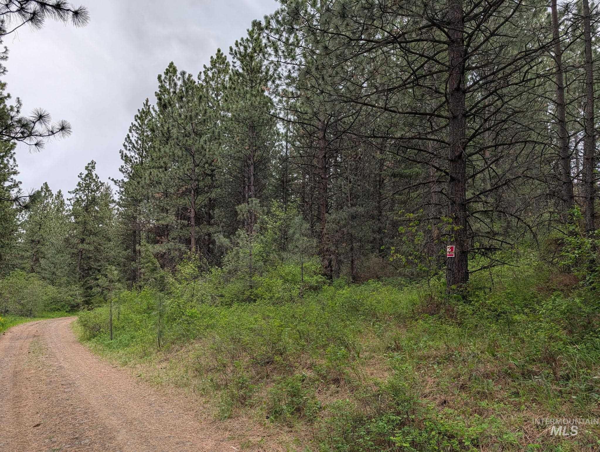 Tbd Jackpine Rd Property Photo 35