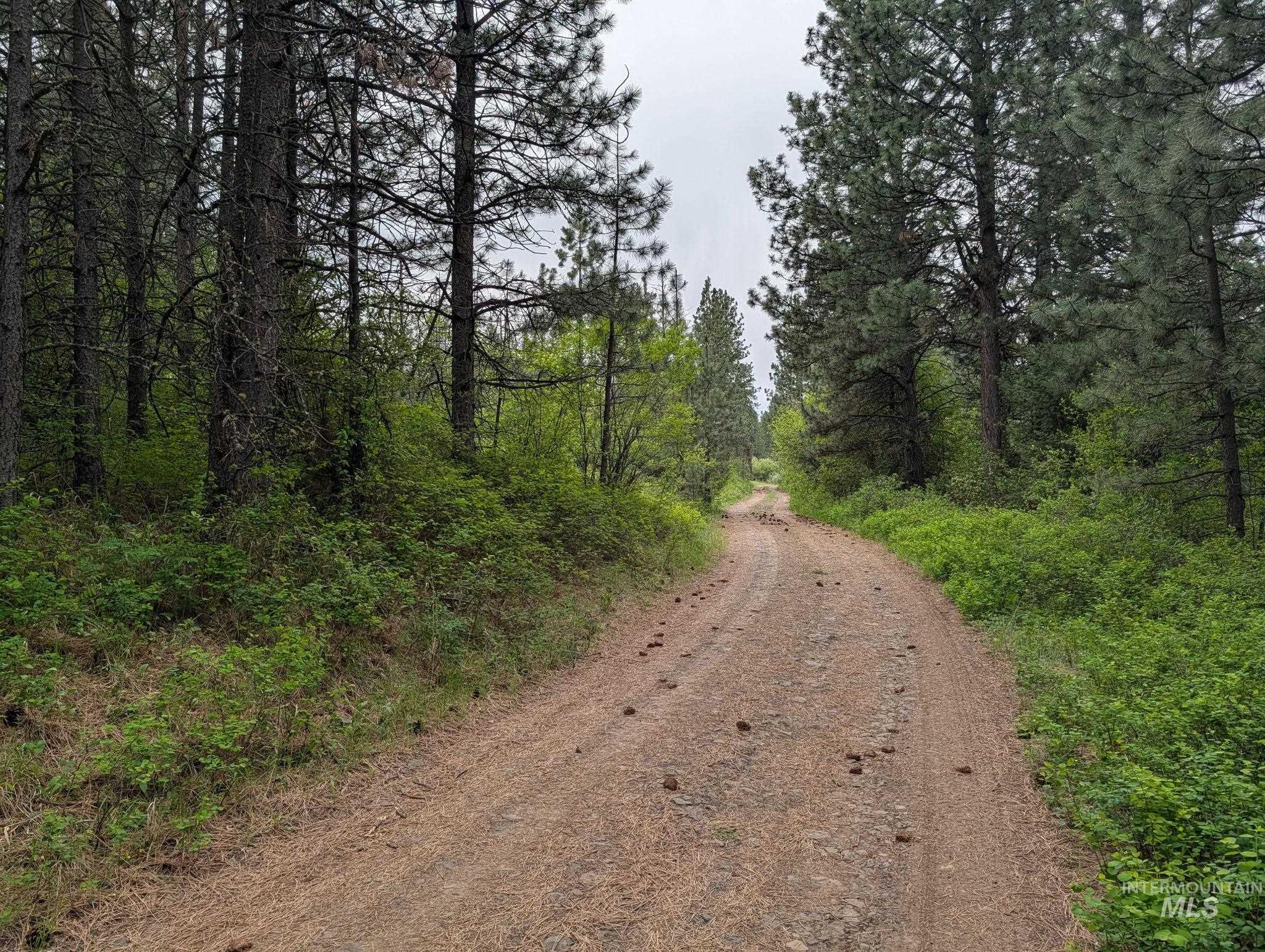 Tbd Jackpine Rd Property Photo 36