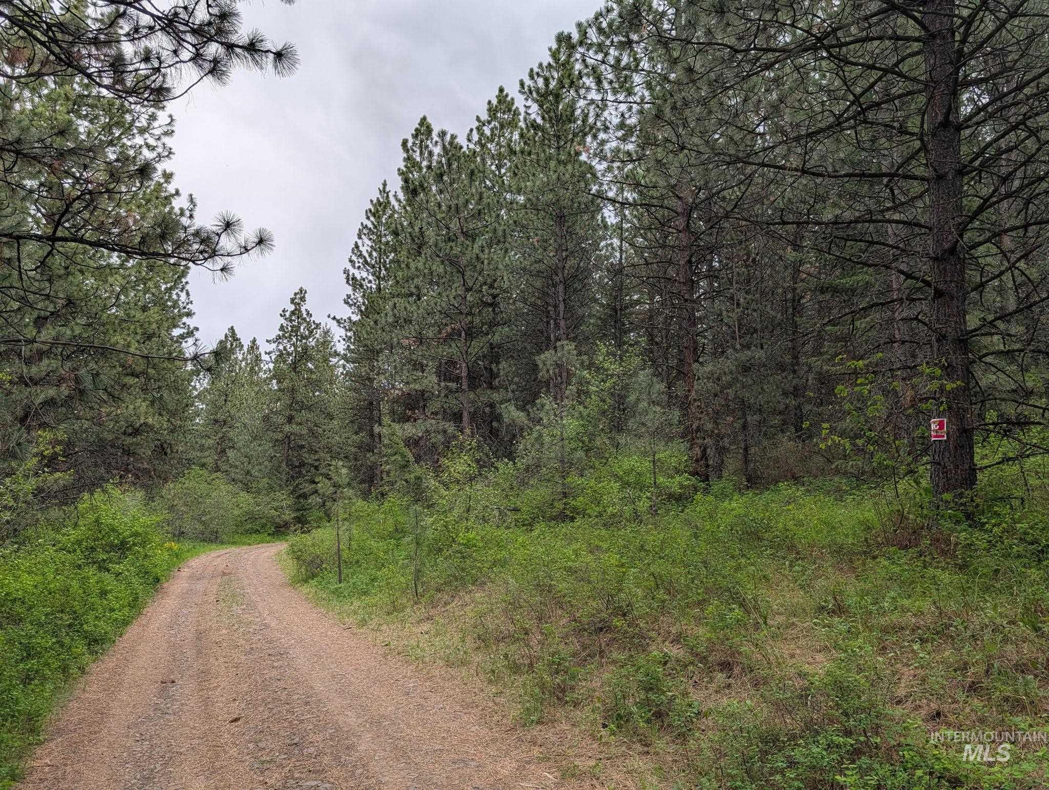 Tbd Jackpine Rd Property Photo 37