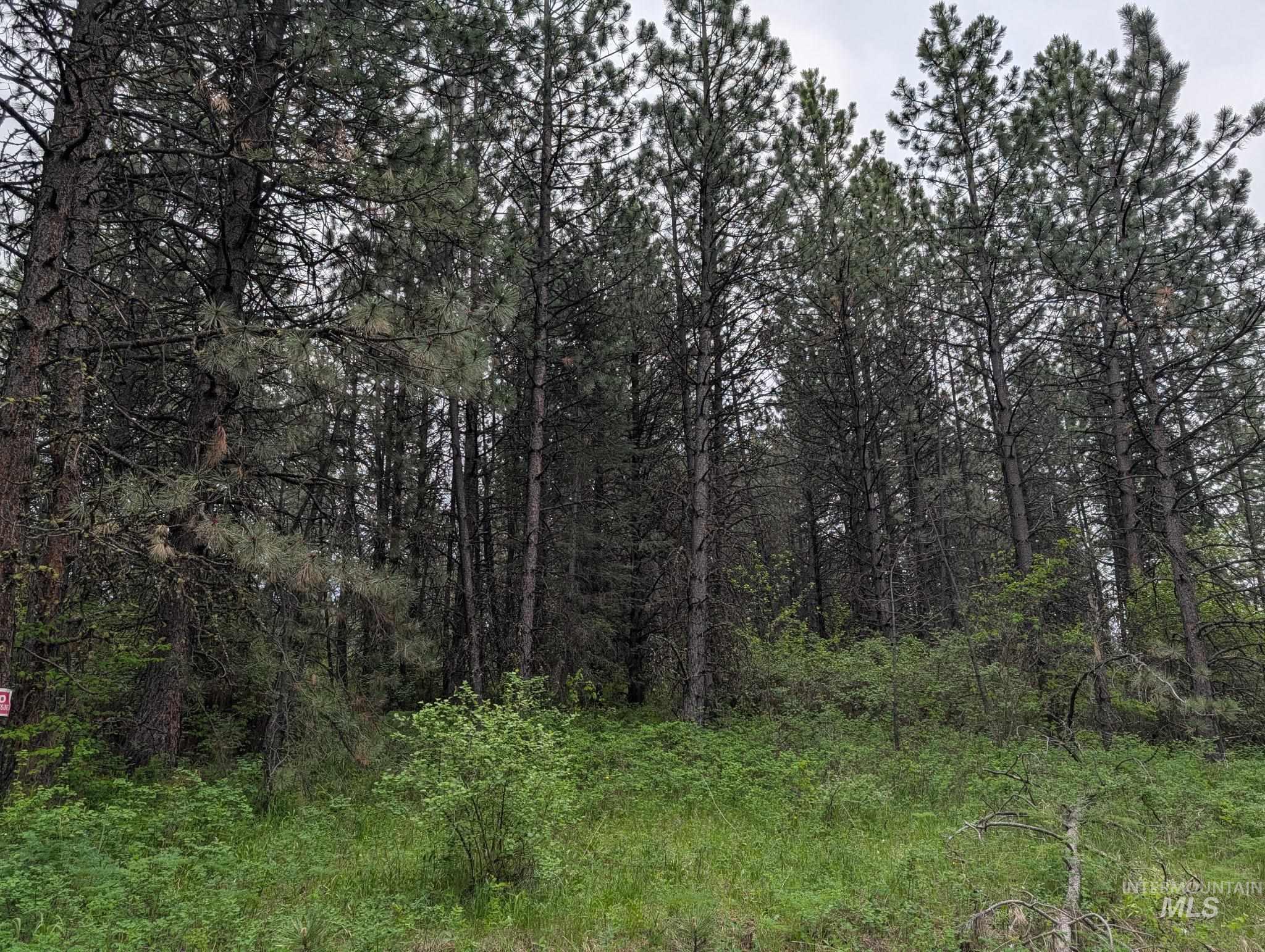 Tbd Jackpine Rd Property Photo 38