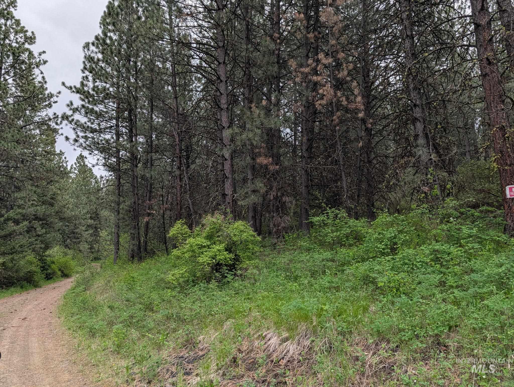 Tbd Jackpine Rd Property Photo 39