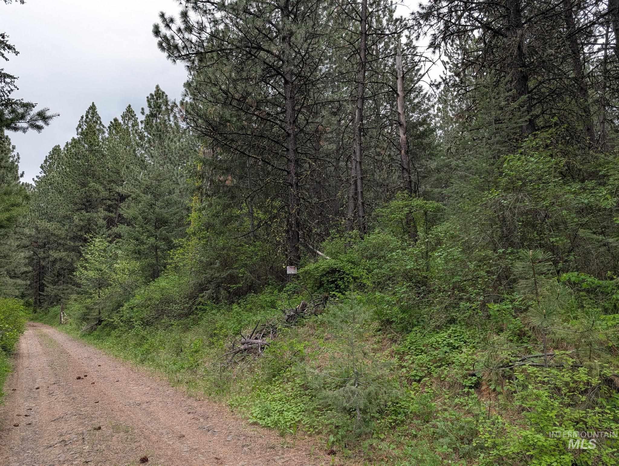 Tbd Jackpine Rd Property Photo 40
