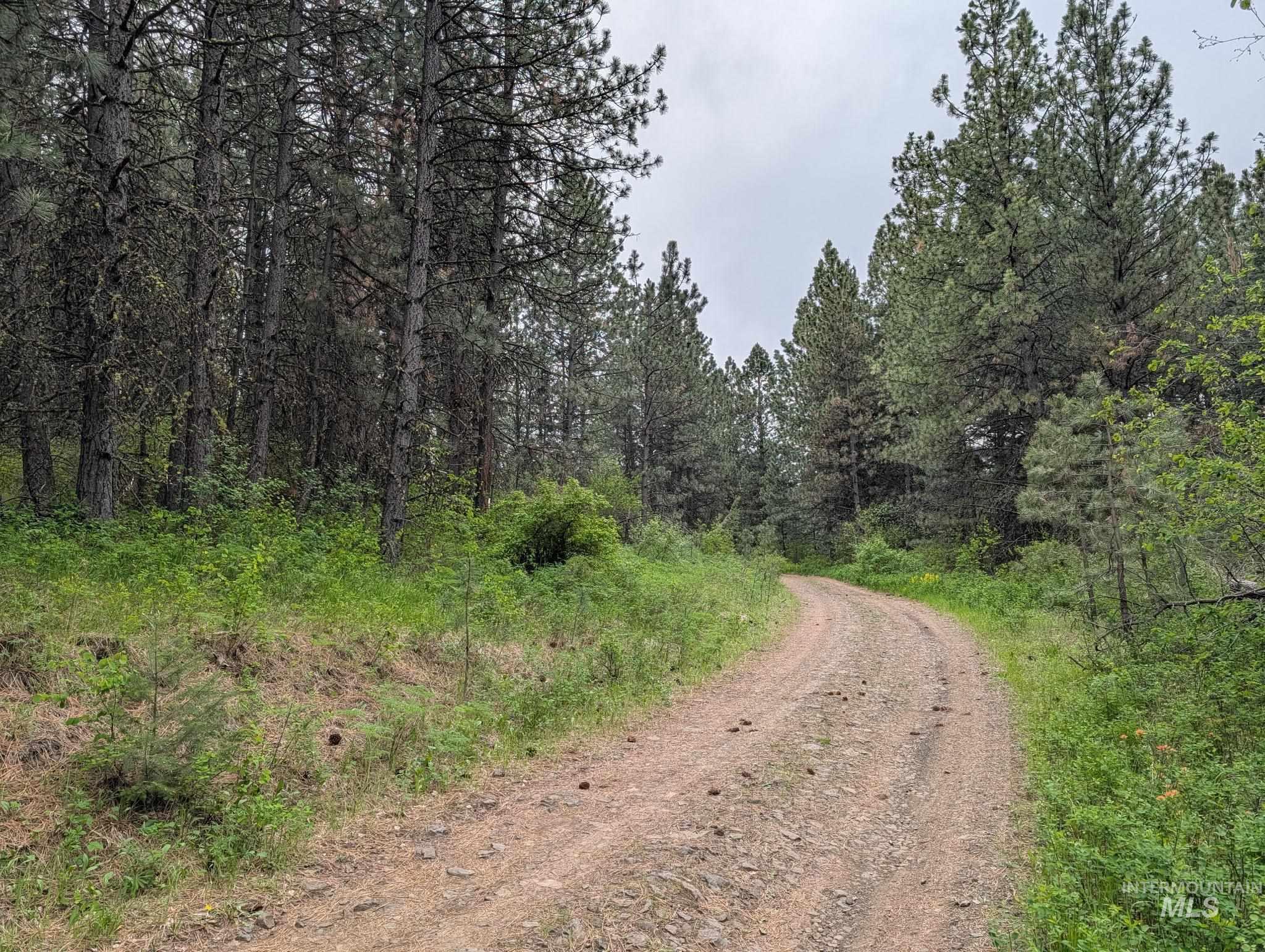 Tbd Jackpine Rd Property Photo 41