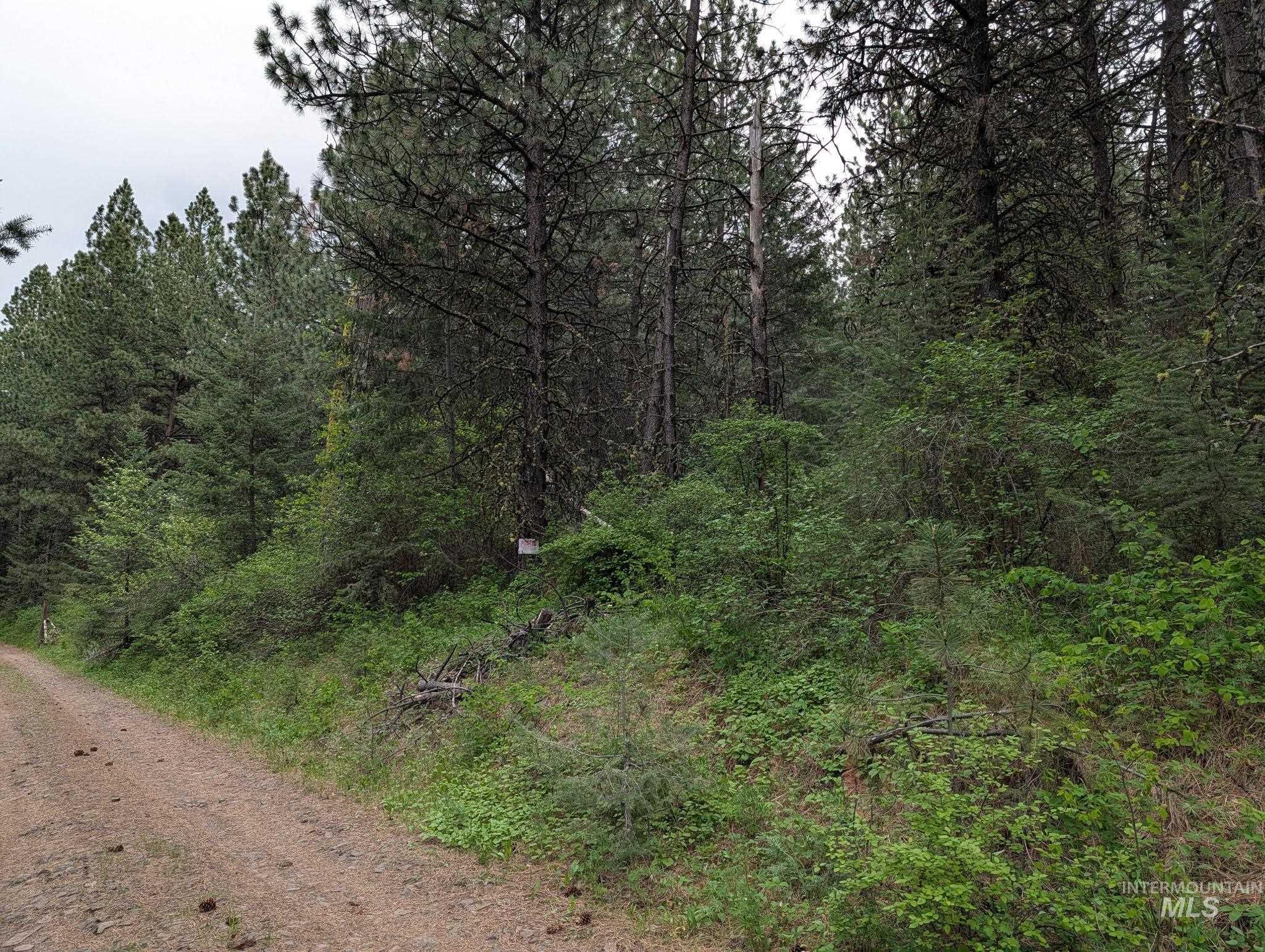 Tbd Jackpine Rd Property Photo 42
