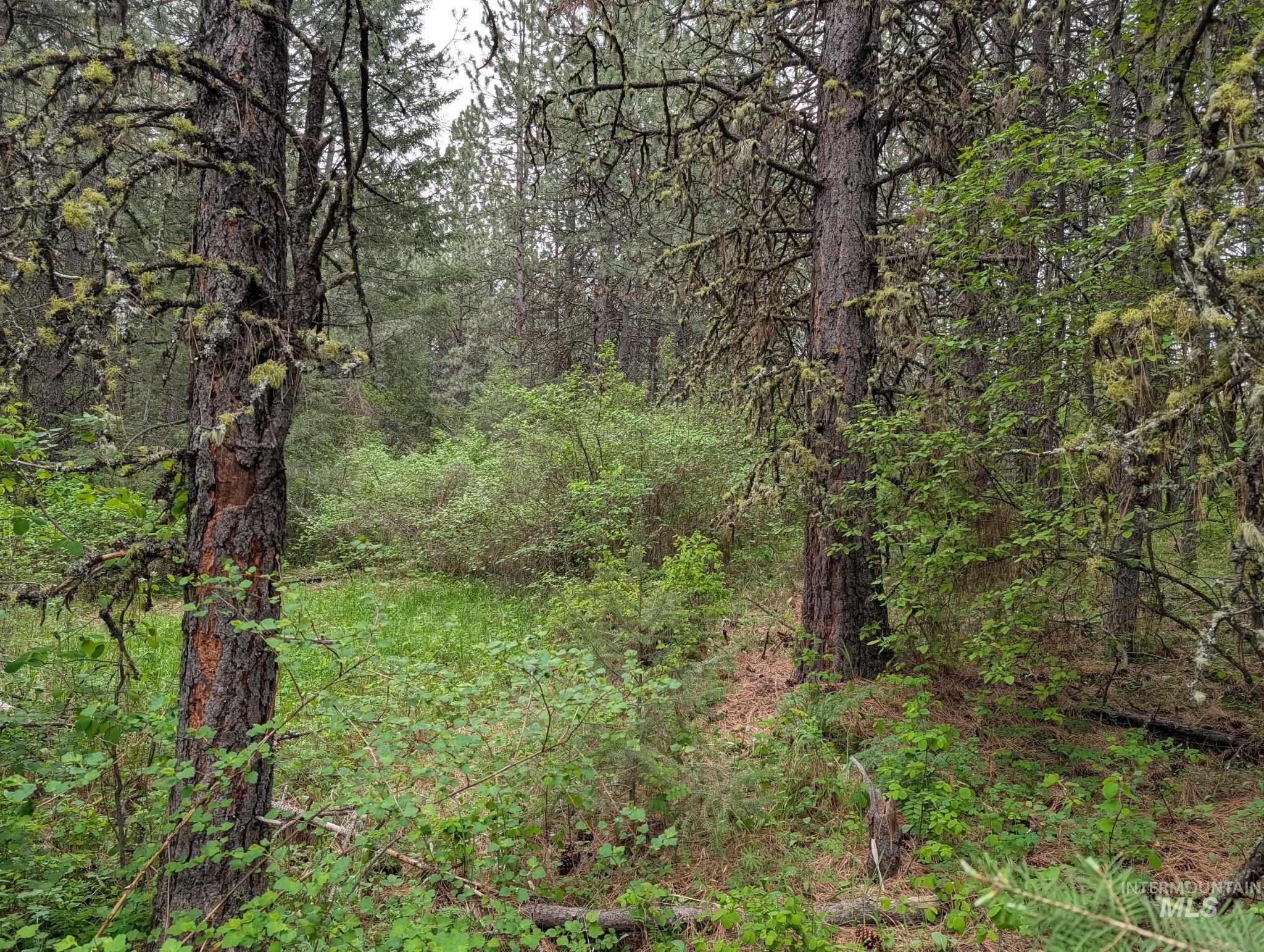 Tbd Jackpine Rd Property Photo 43