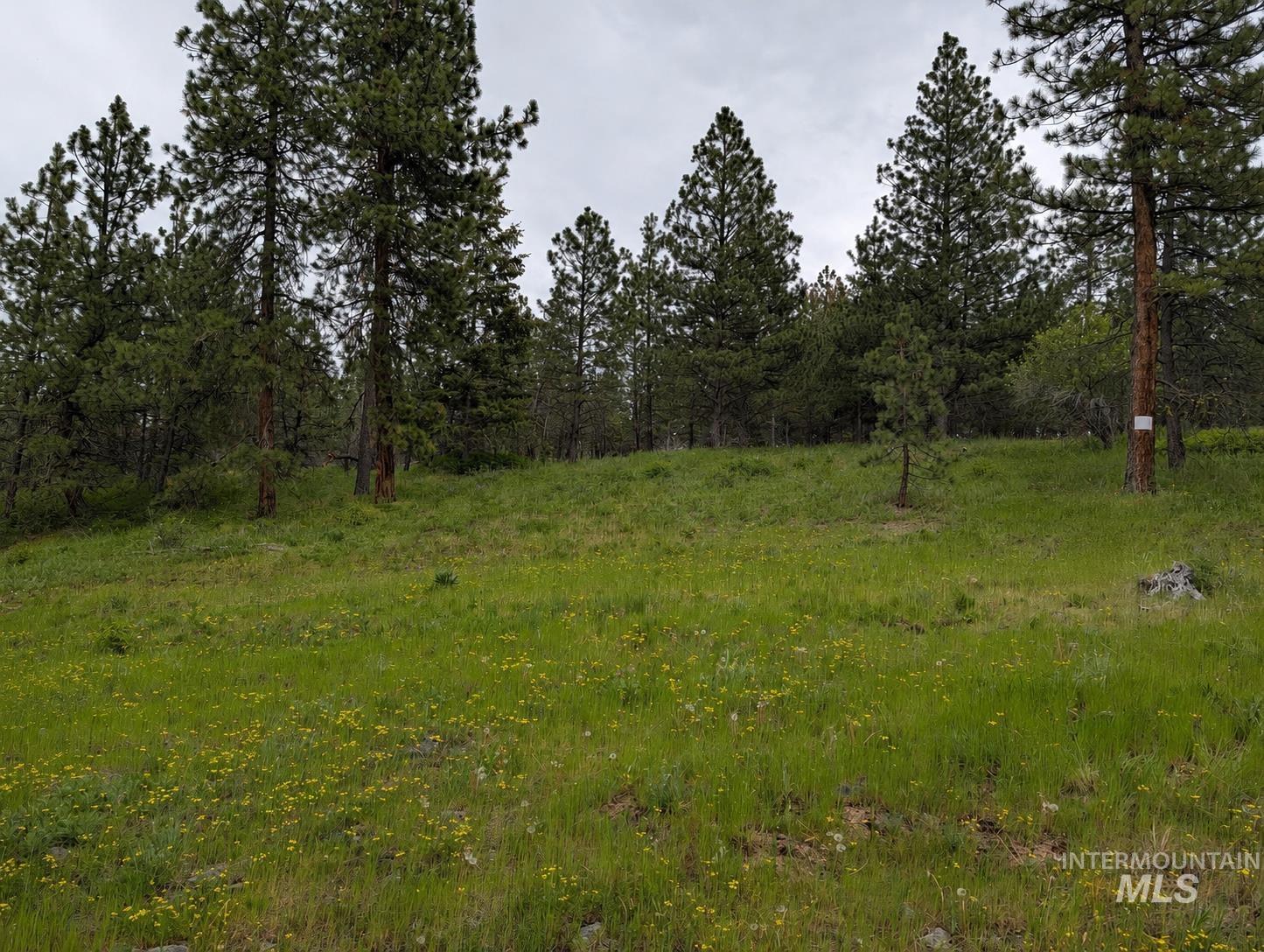 Tbd Jackpine Rd Property Photo 44