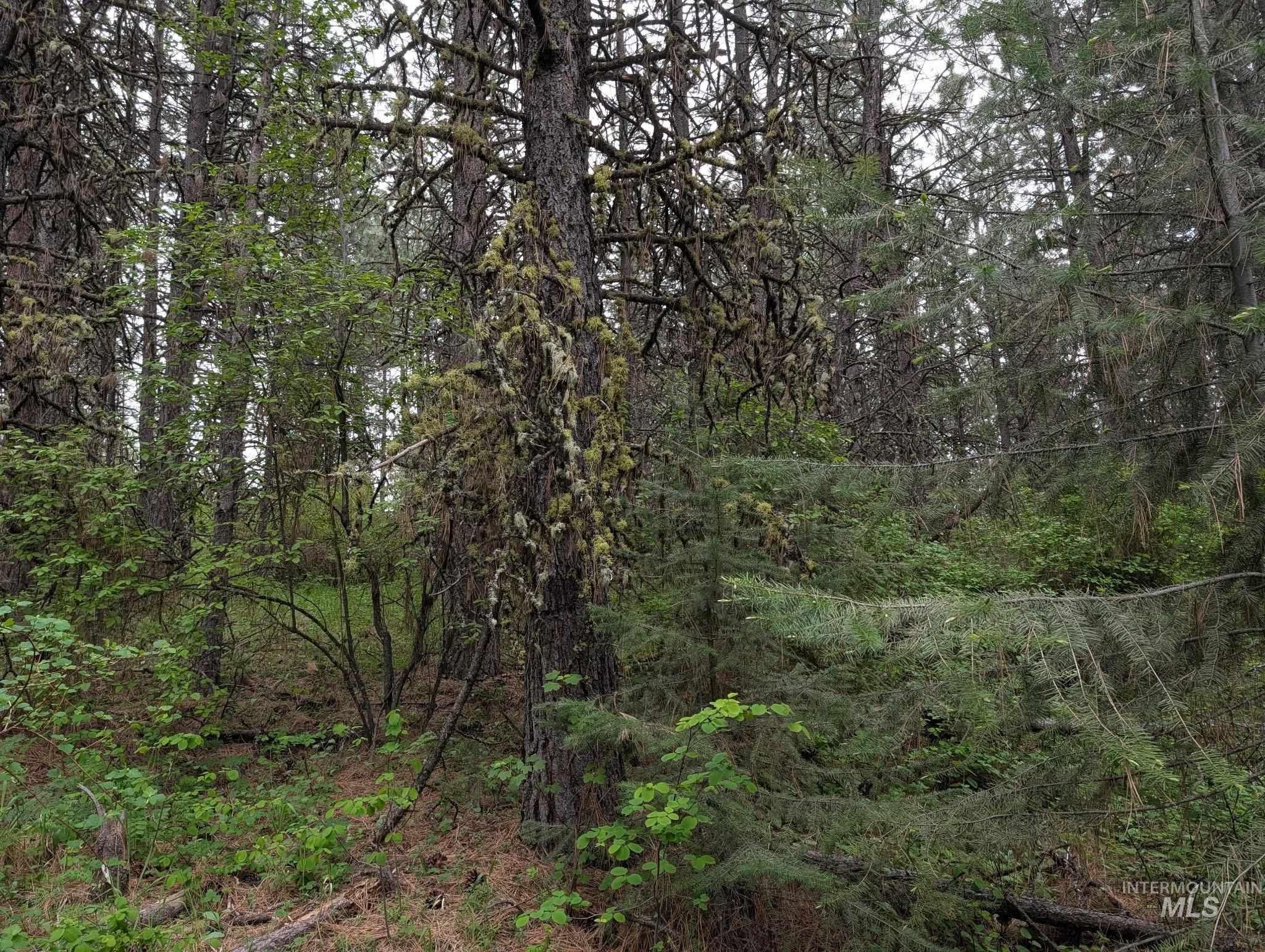 Tbd Jackpine Rd Property Photo 45
