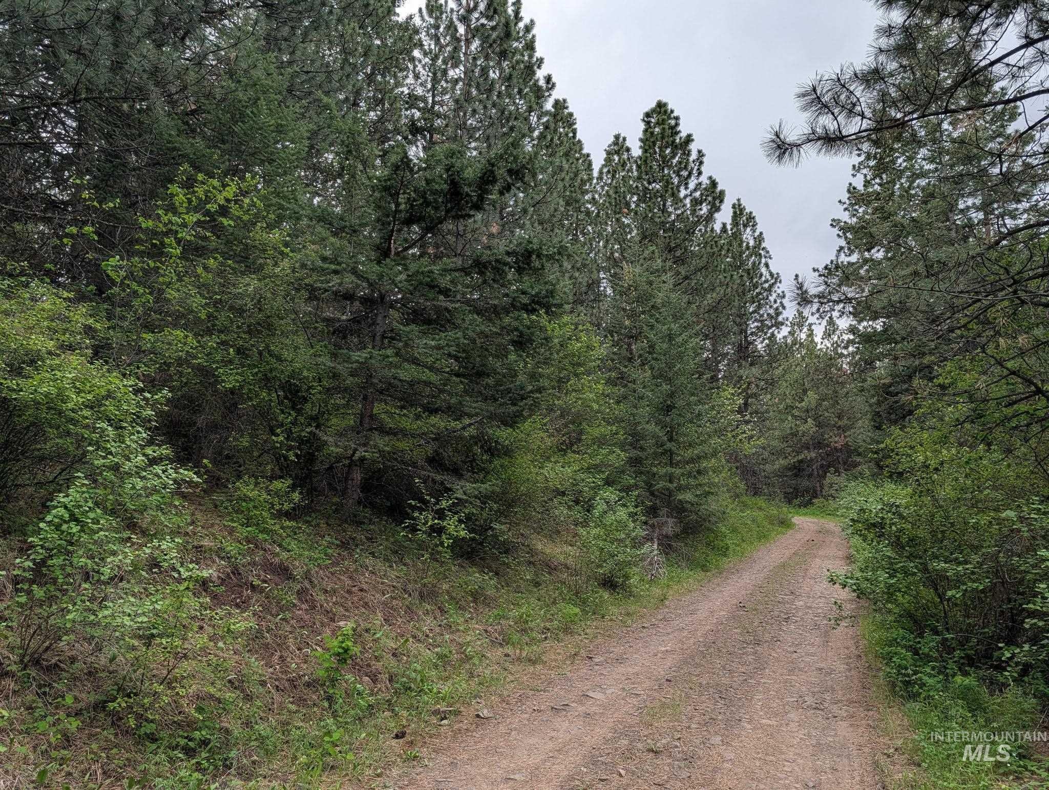 Tbd Jackpine Rd Property Photo 46