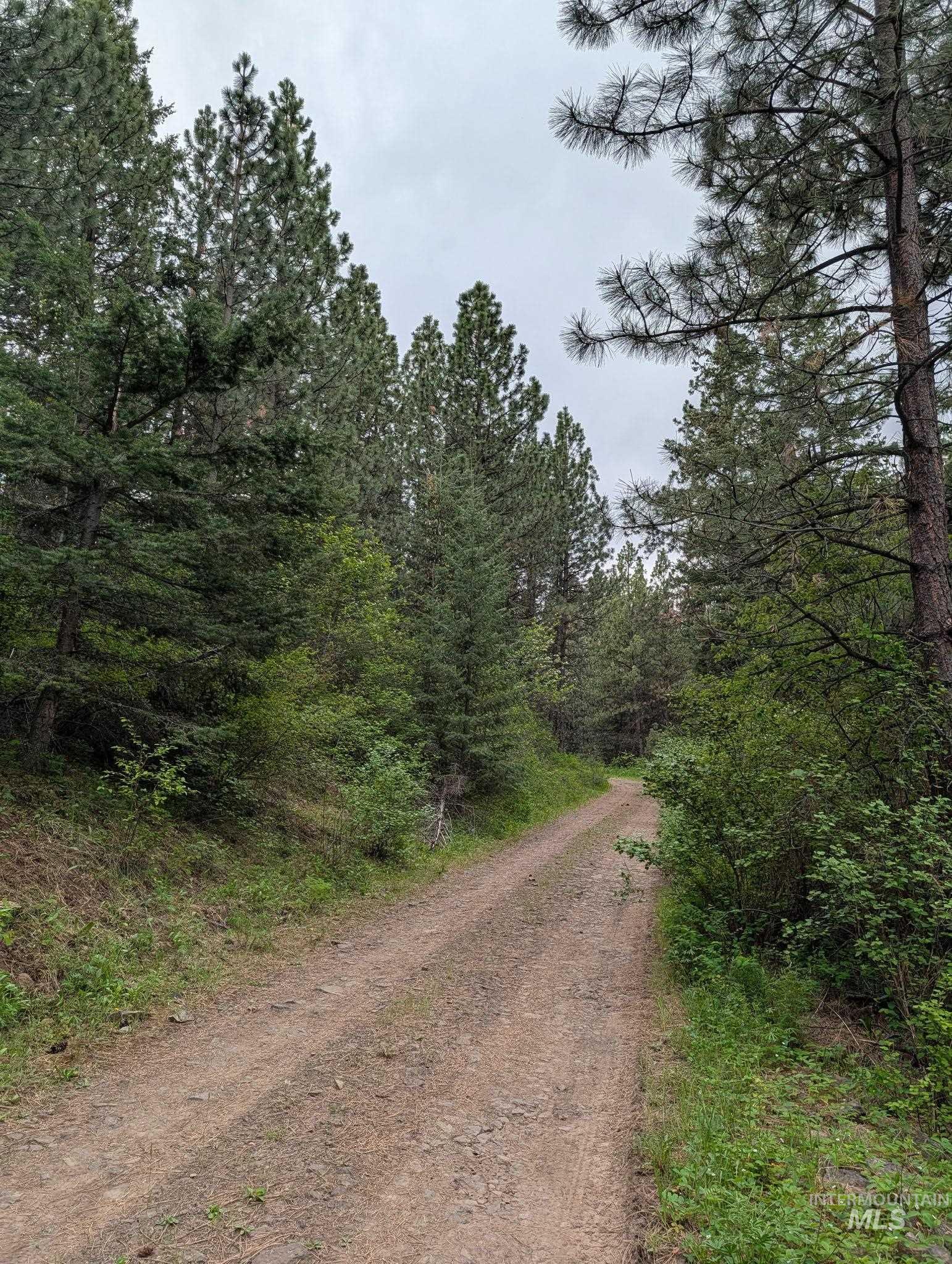 Tbd Jackpine Rd Property Photo 48