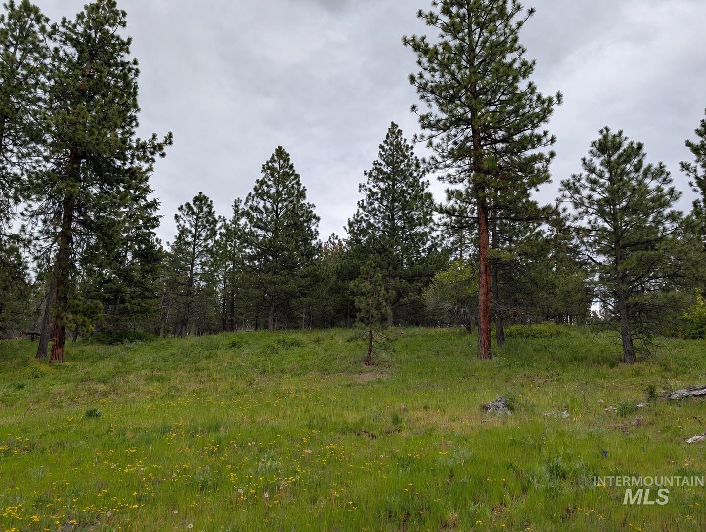 Tbd Jackpine Rd Property Photo 49