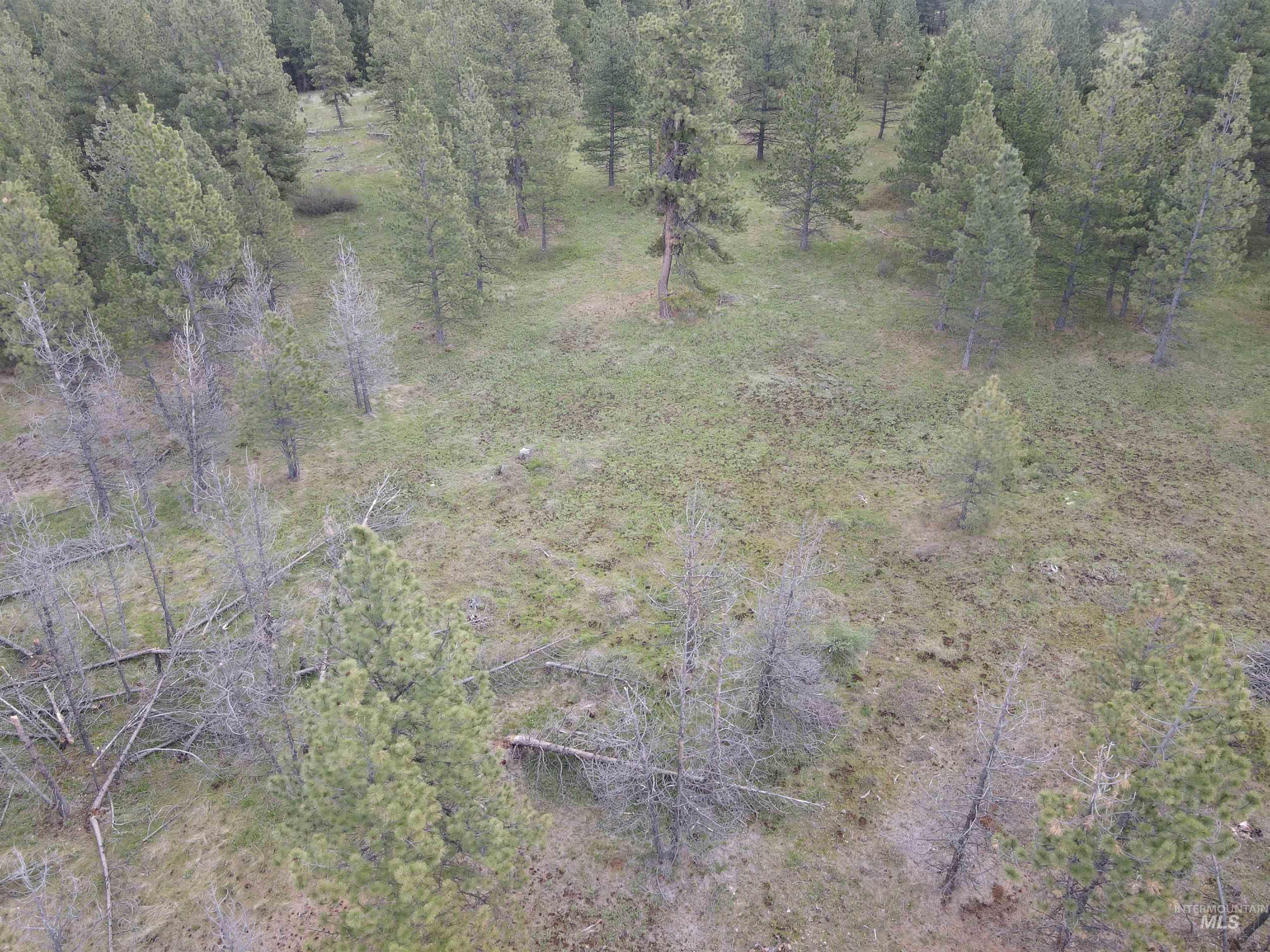 Tbd Jackpine Rd Property Photo 50