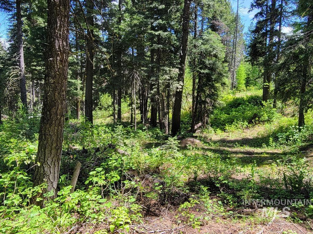 32 Arling Trail Property Photo 4