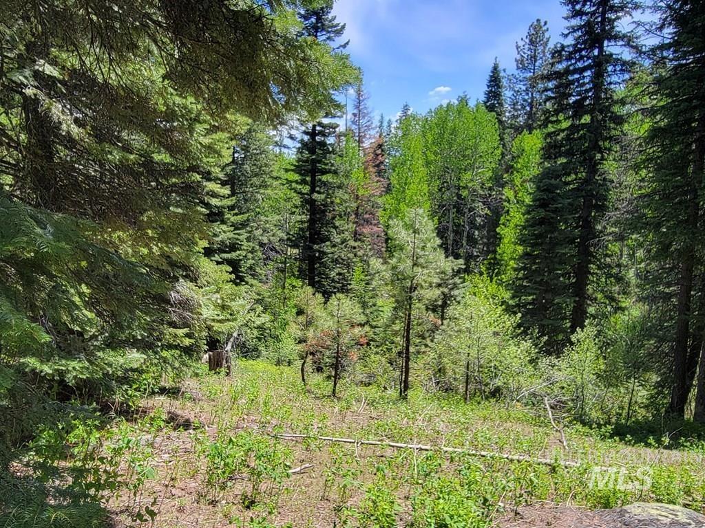 32 Arling Trail Property Photo 5